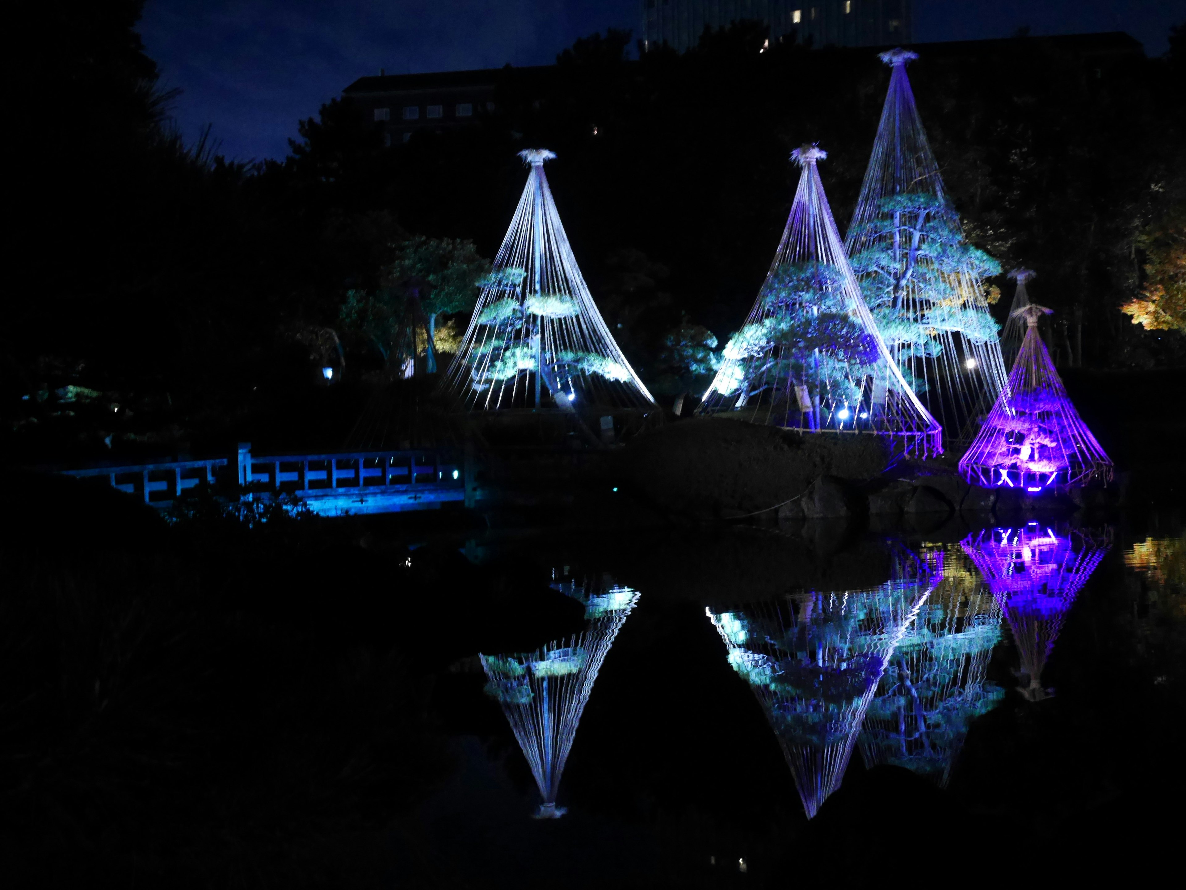 Instalación de luz mágica en un parque de noche con reflejos