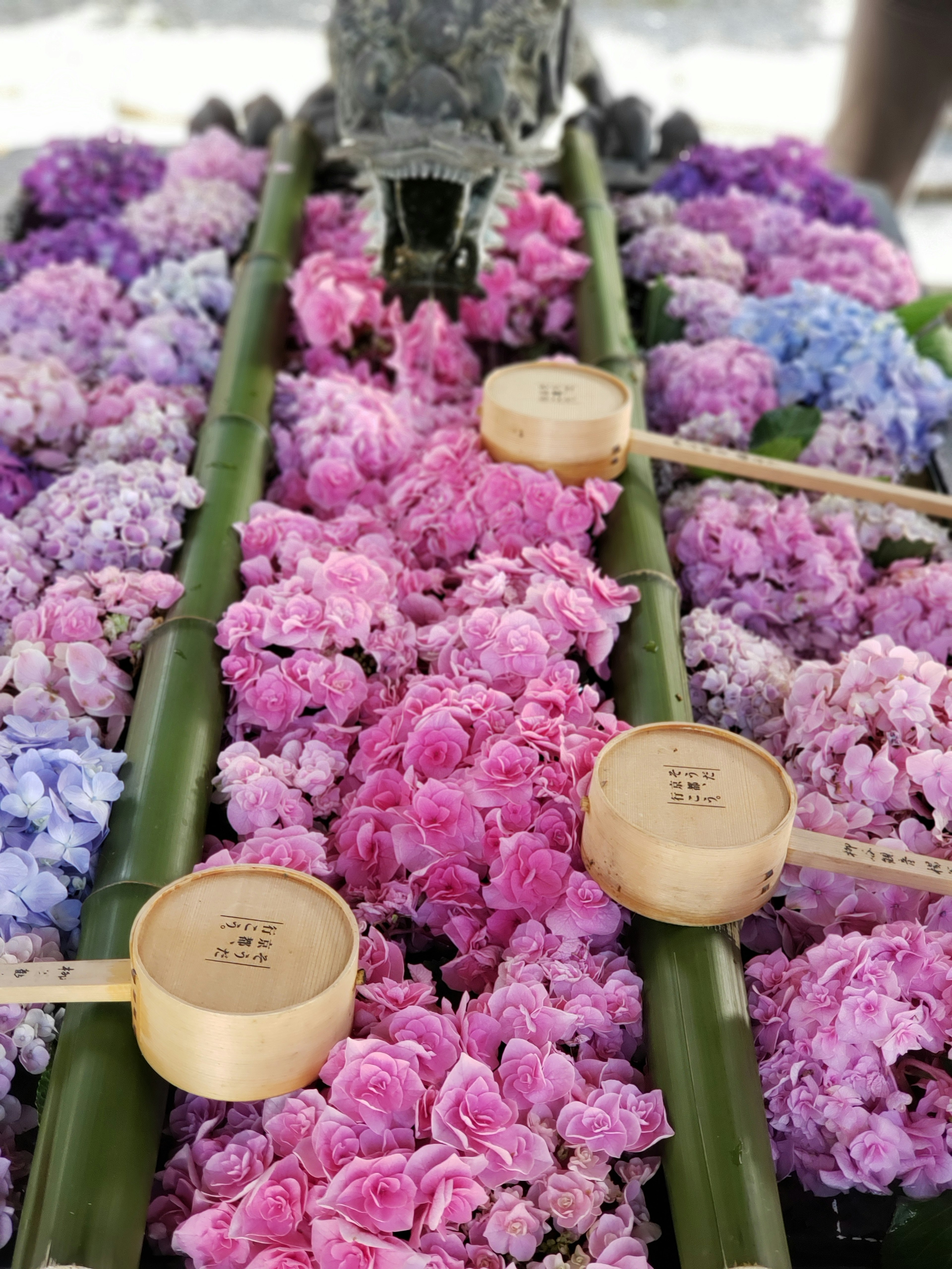 Colorful flowers arranged on bamboo trays with wooden scoops