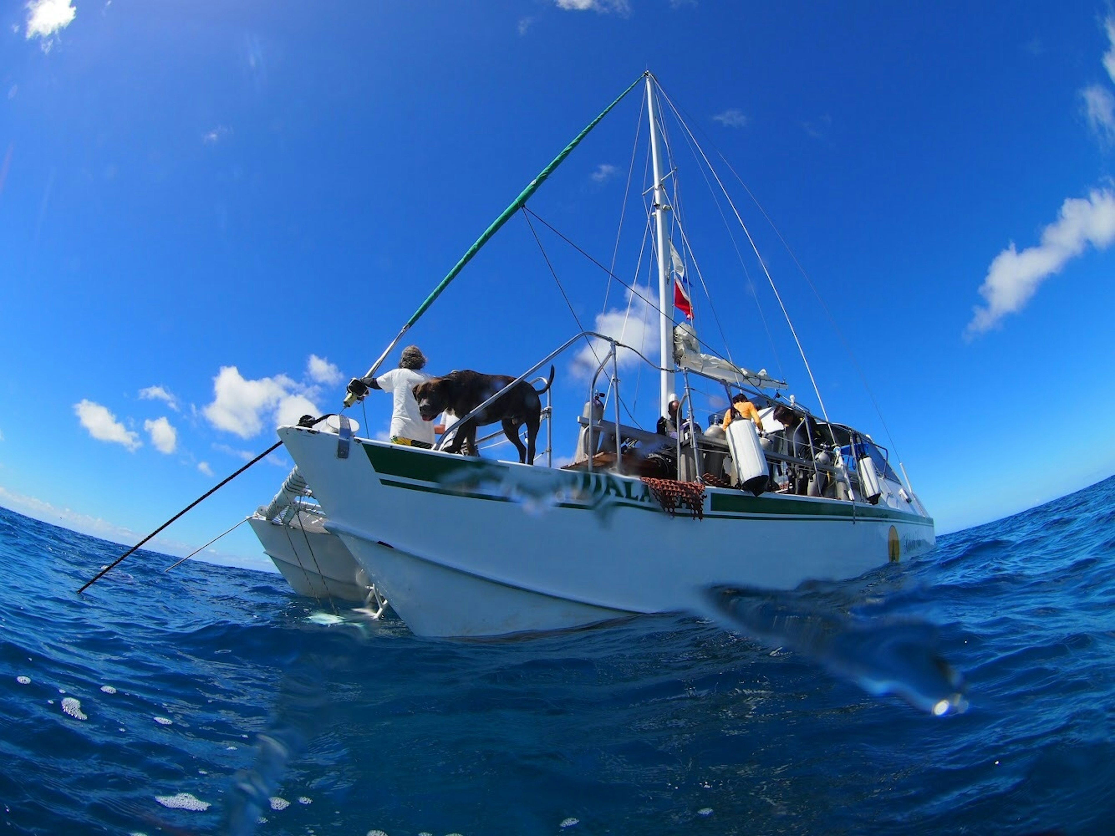 Small boat floating on blue ocean people and a dog on board