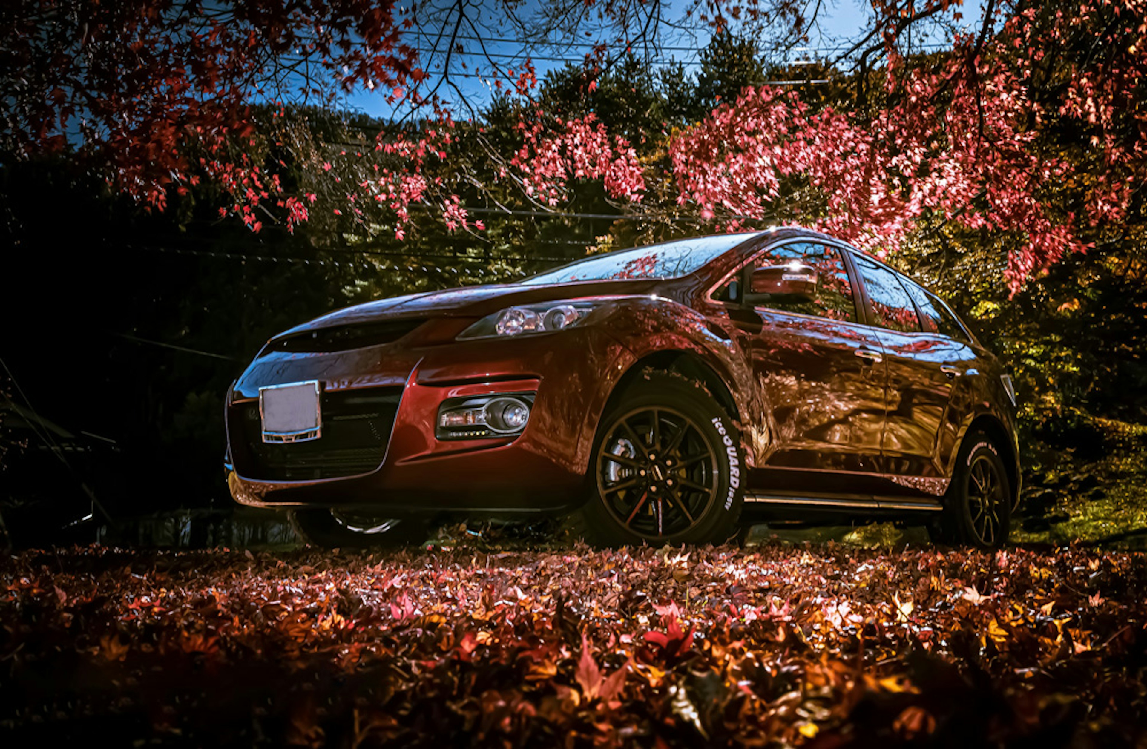 Une voiture rouge au milieu d'un feuillage d'automne et de feuilles tombées colorées