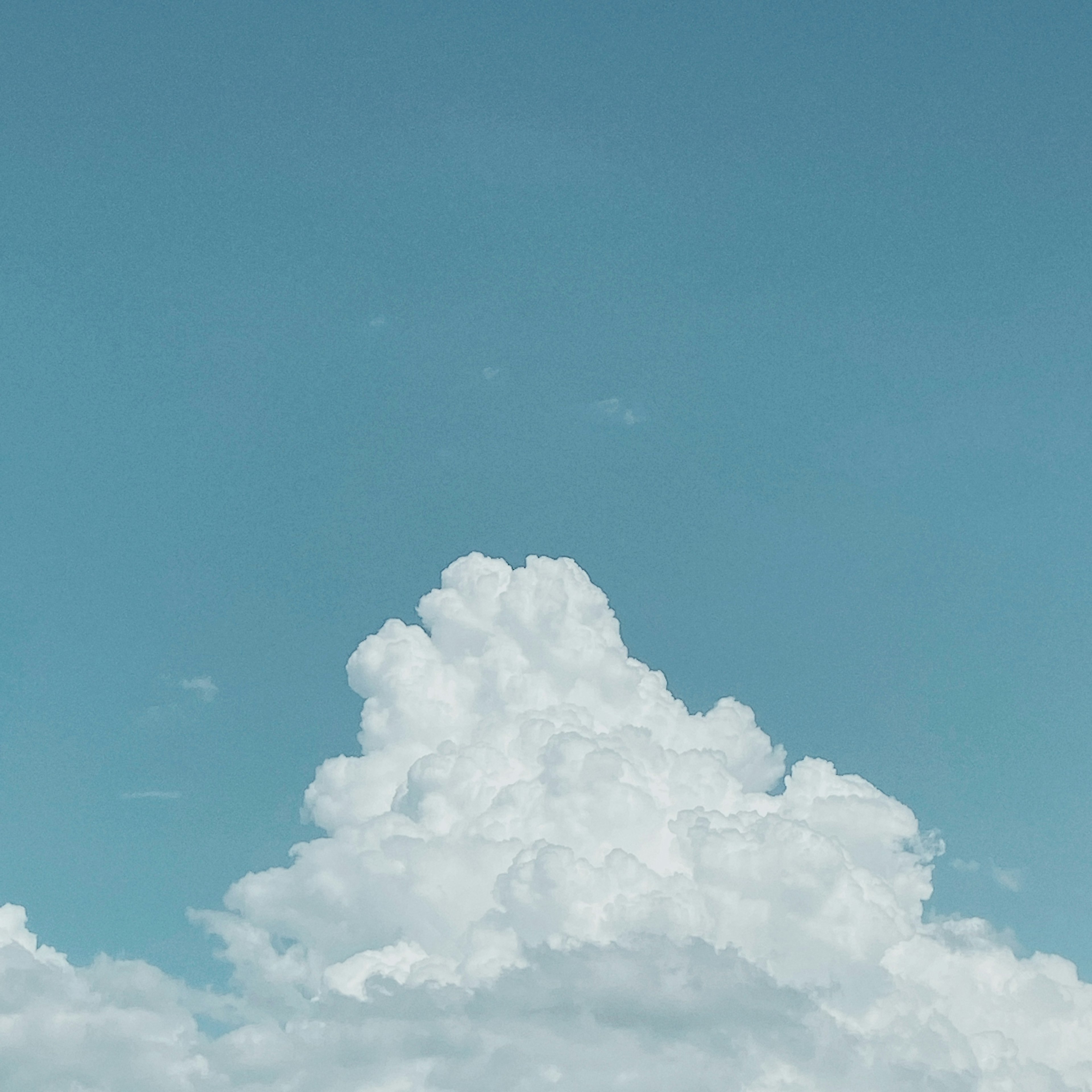 青空に浮かぶ白い雲の群れ