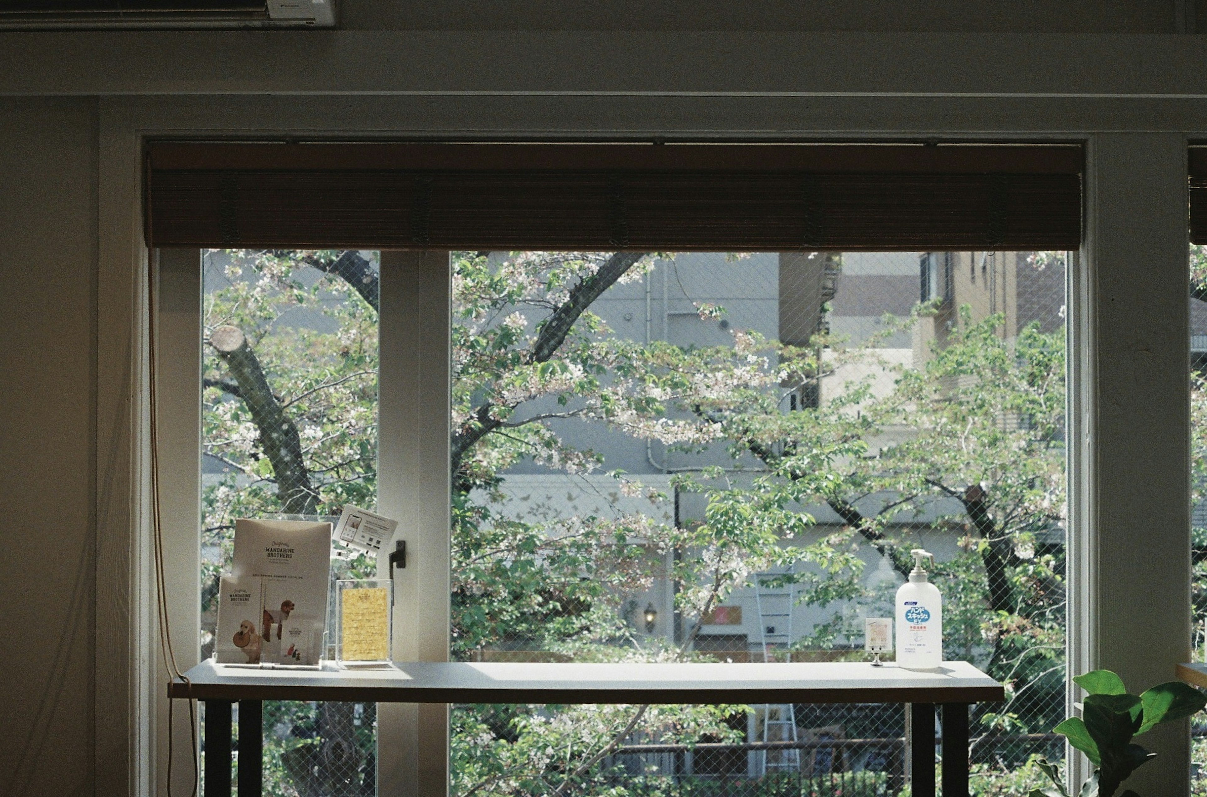 Una mesa junto a la ventana con vista de árboles verdes afuera