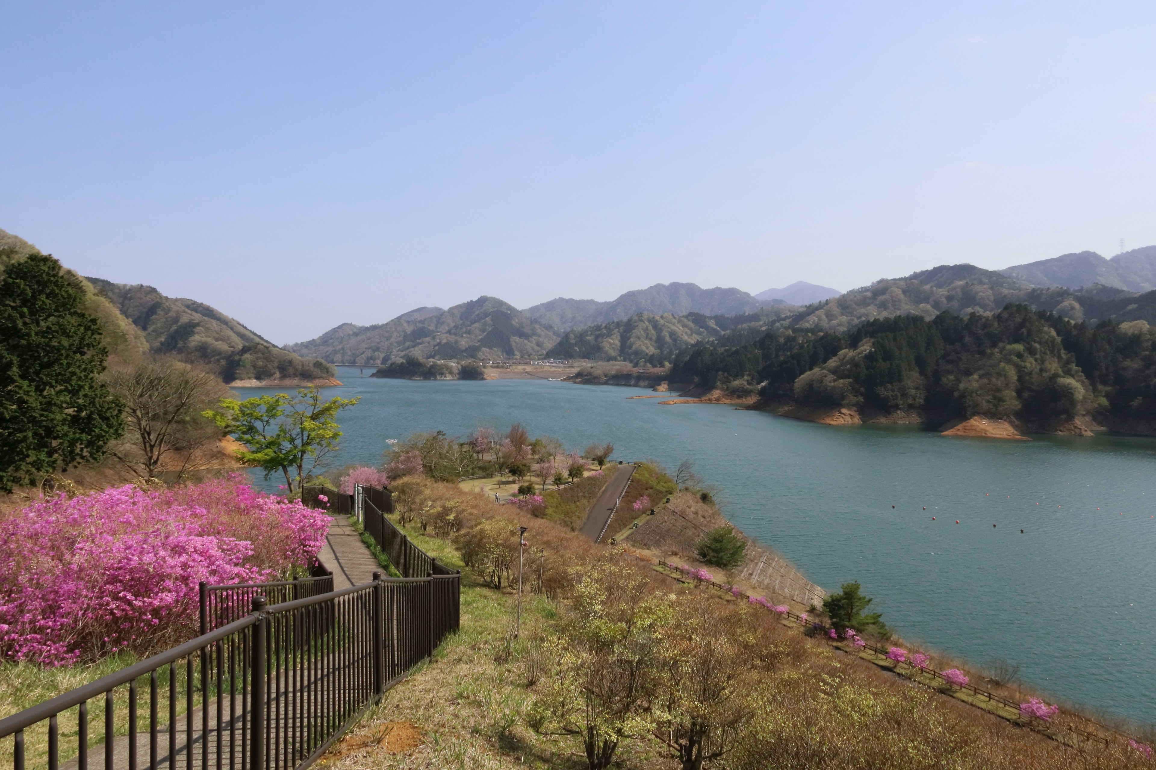 Vista escénica de un lago rodeado de montañas con flores rosas en flor