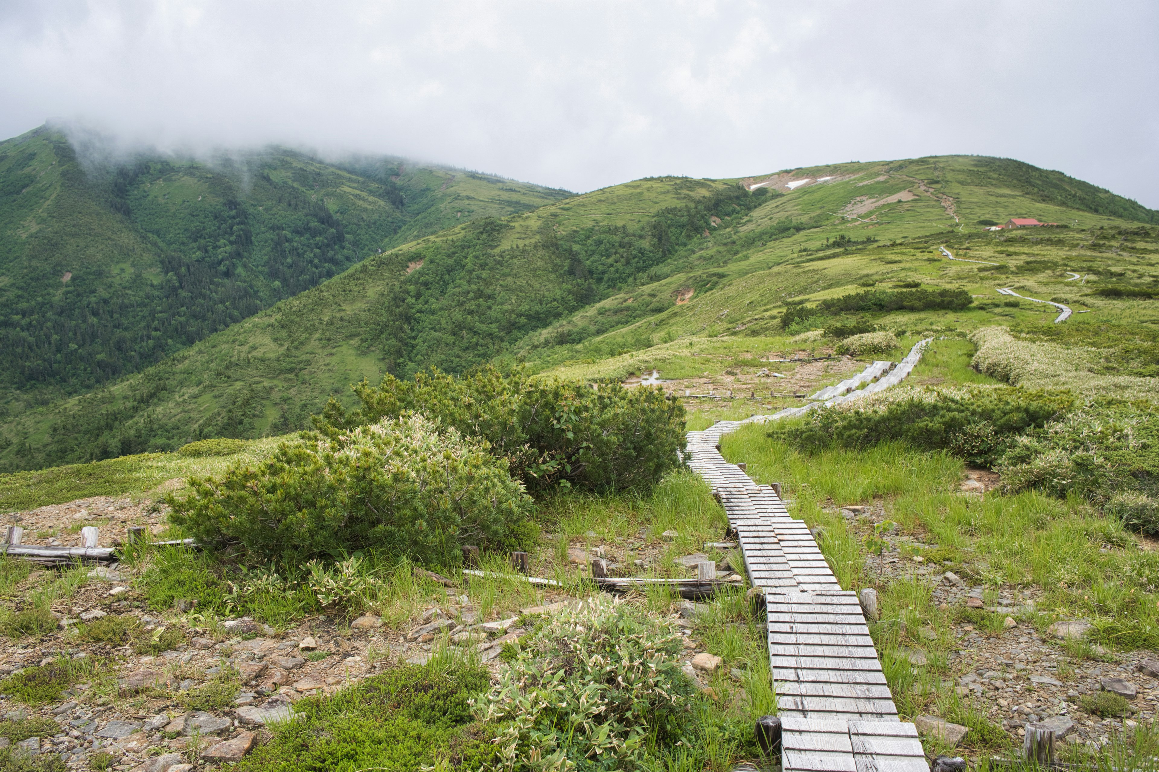 A wooden walkway winding through lush green mountains