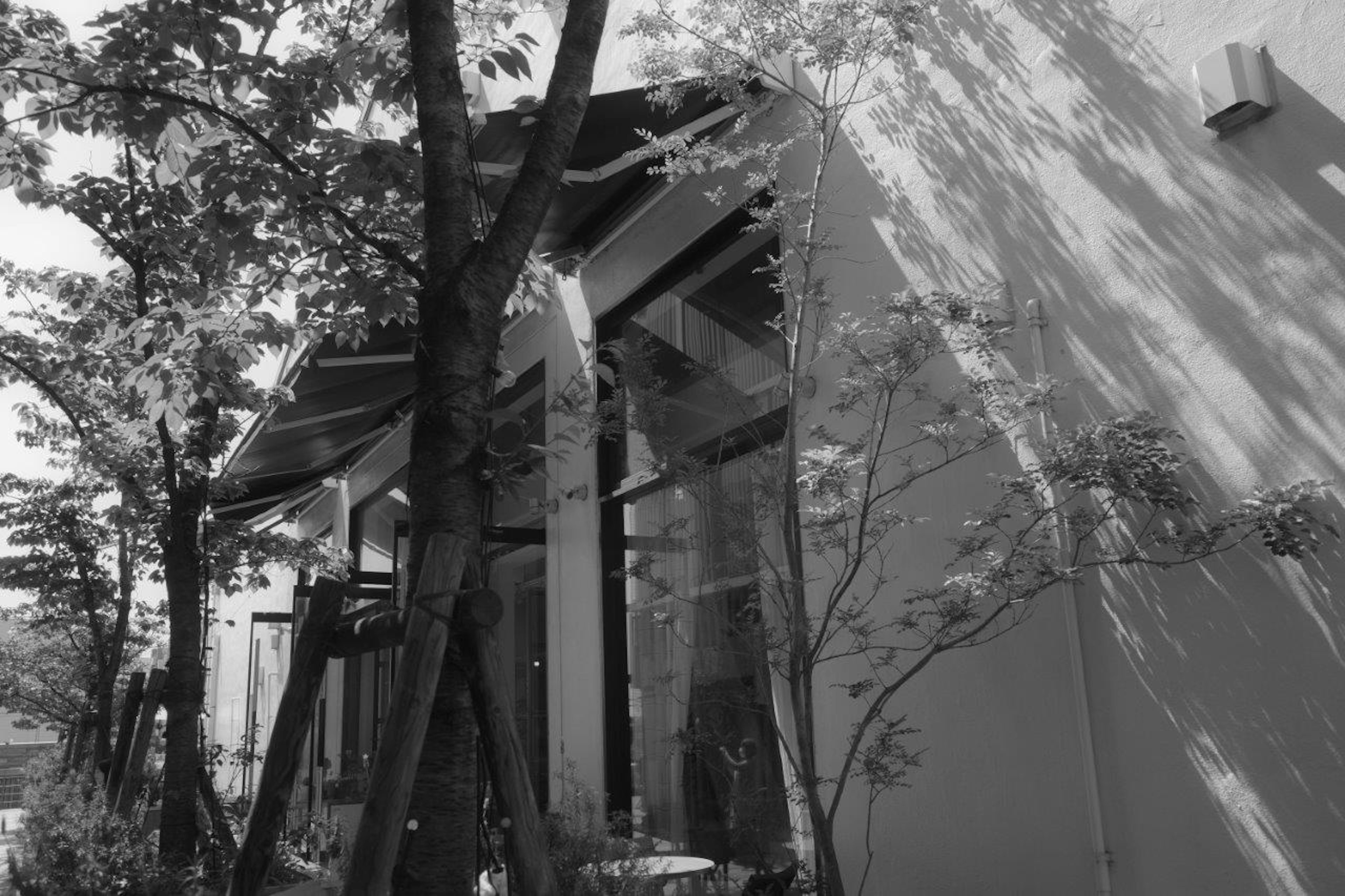 Image en noir et blanc d'un côté de bâtiment avec des ombres d'arbres