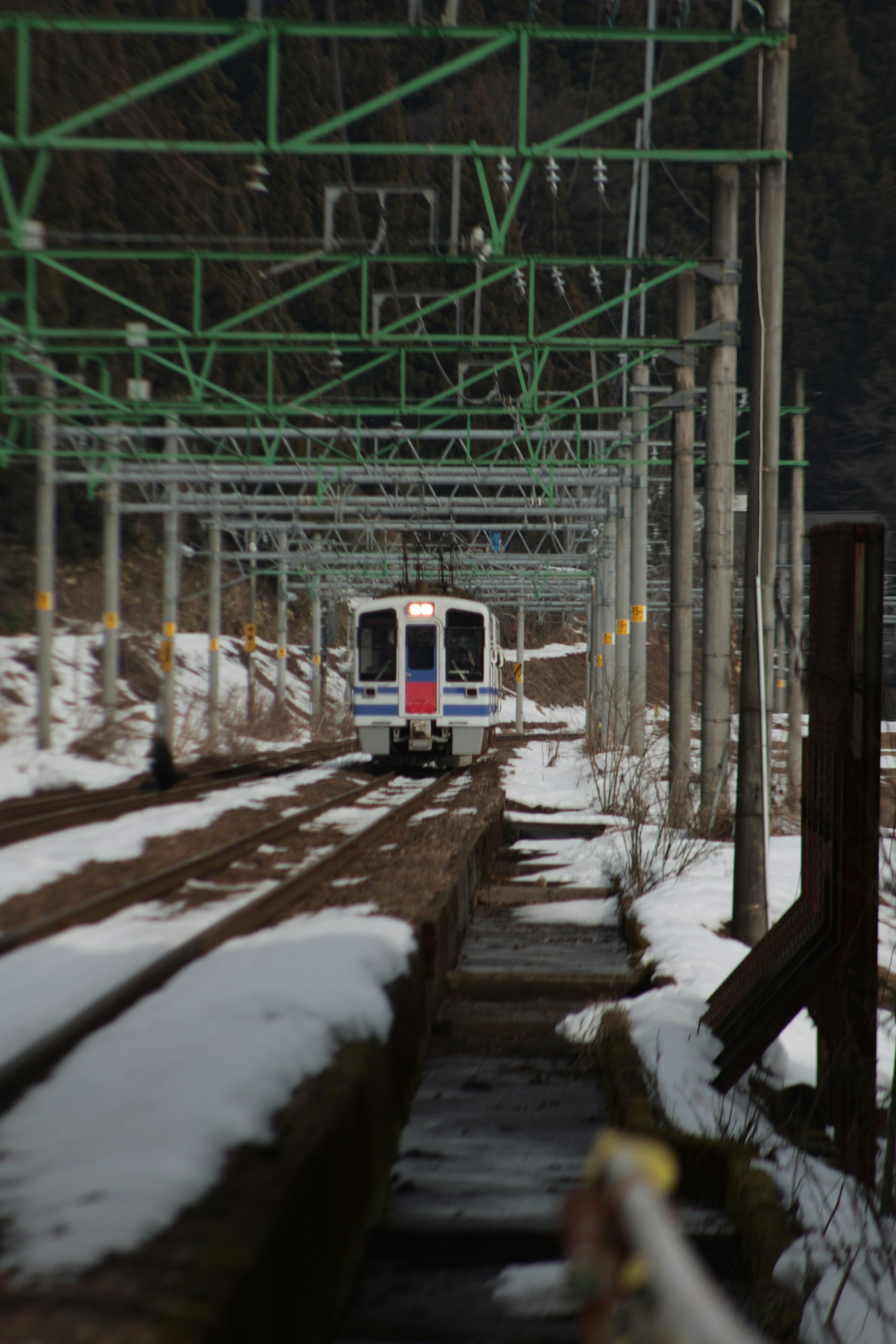 雪に覆われた線路を走る列車と緑の架線柱