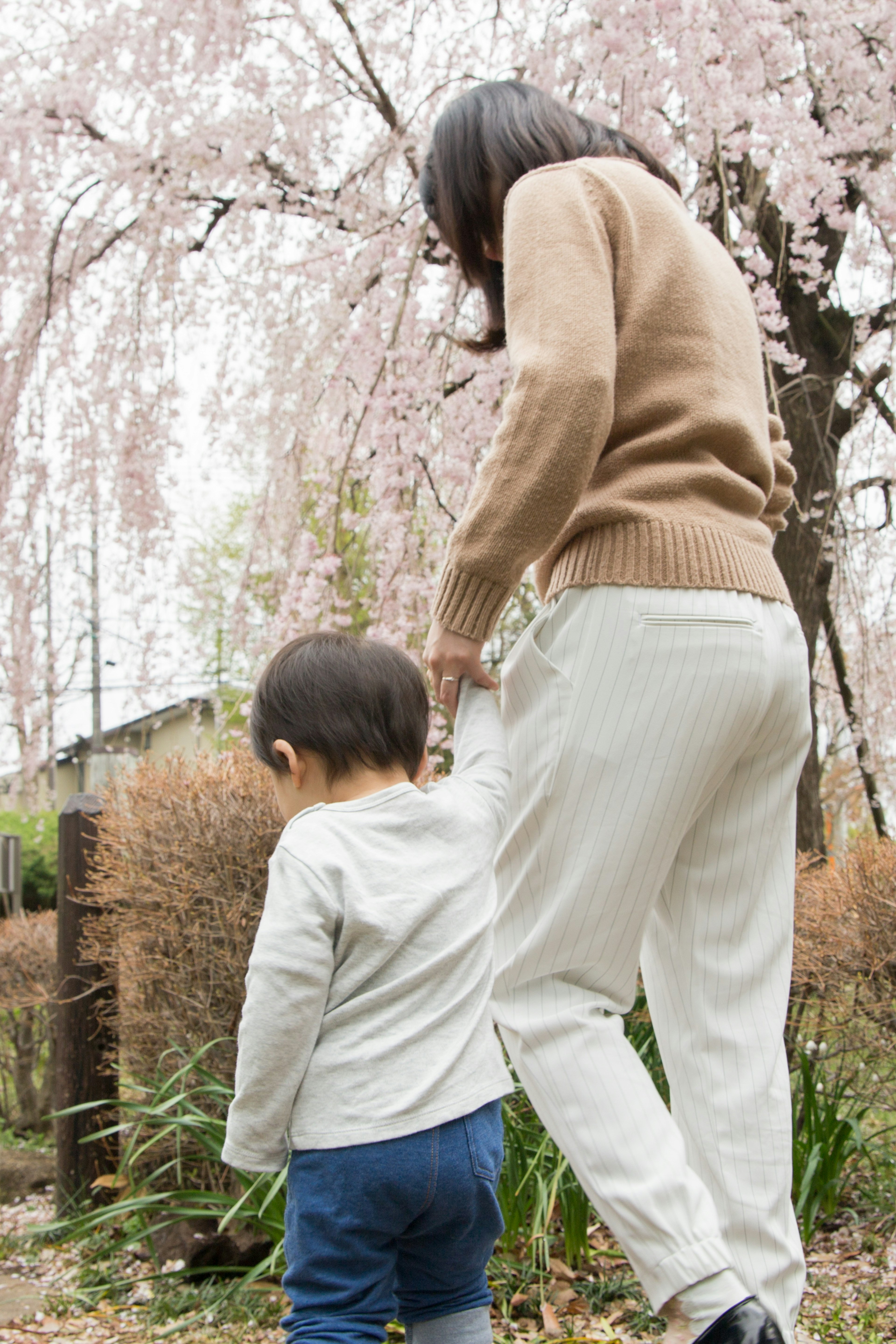 Ibu berjalan dengan anak di bawah pohon sakura