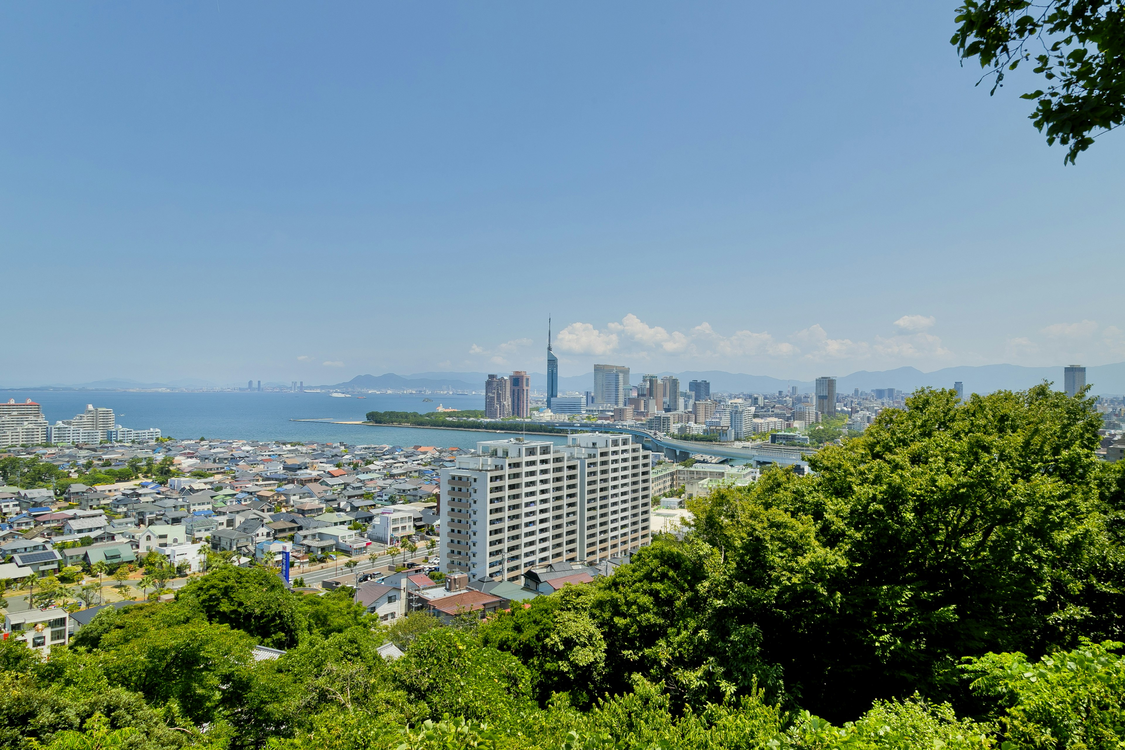 城市景观包括摩天大楼和蓝色海洋前景是郁郁葱葱的绿色