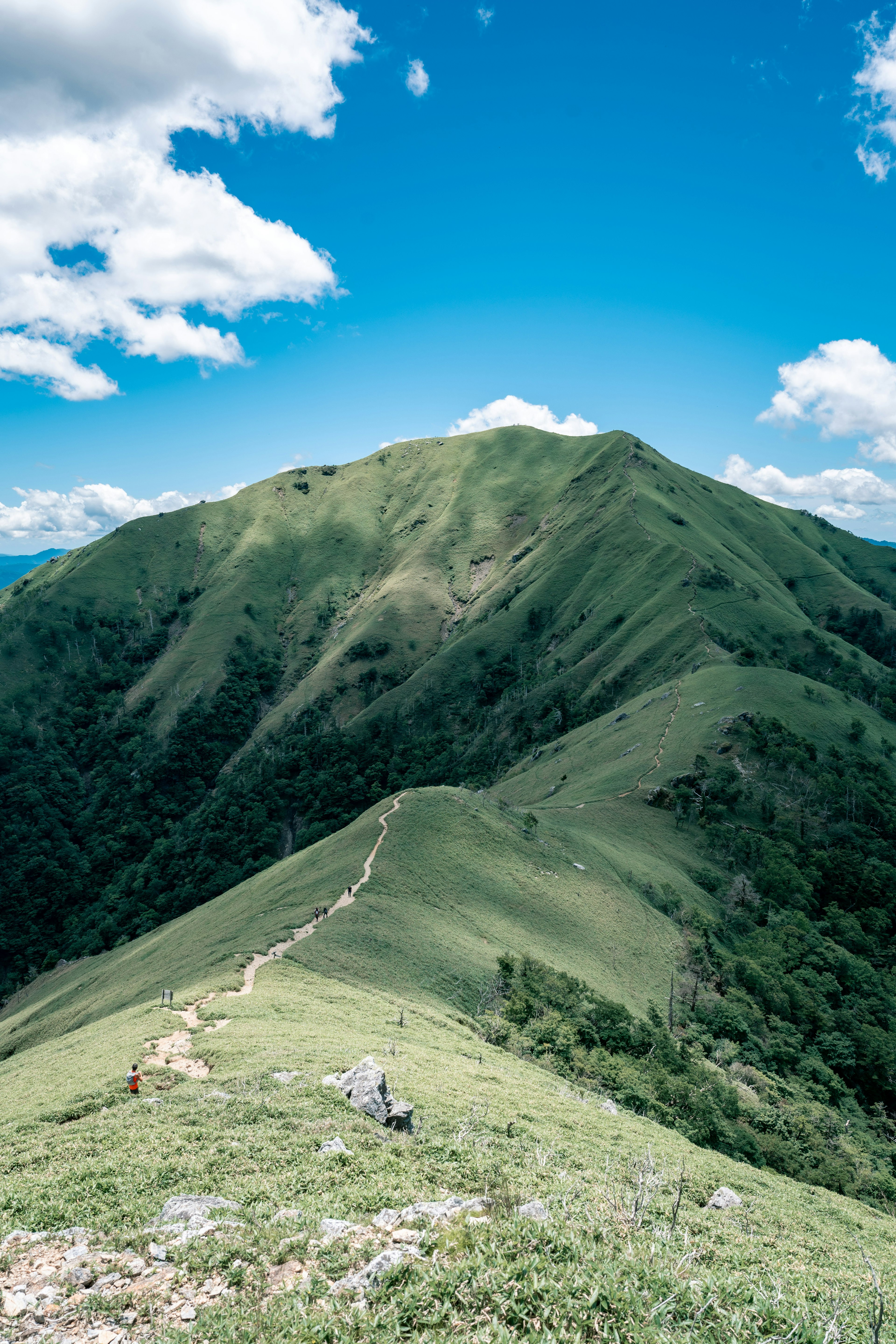 Vista panoramica di colline verdi sotto un cielo blu brillante