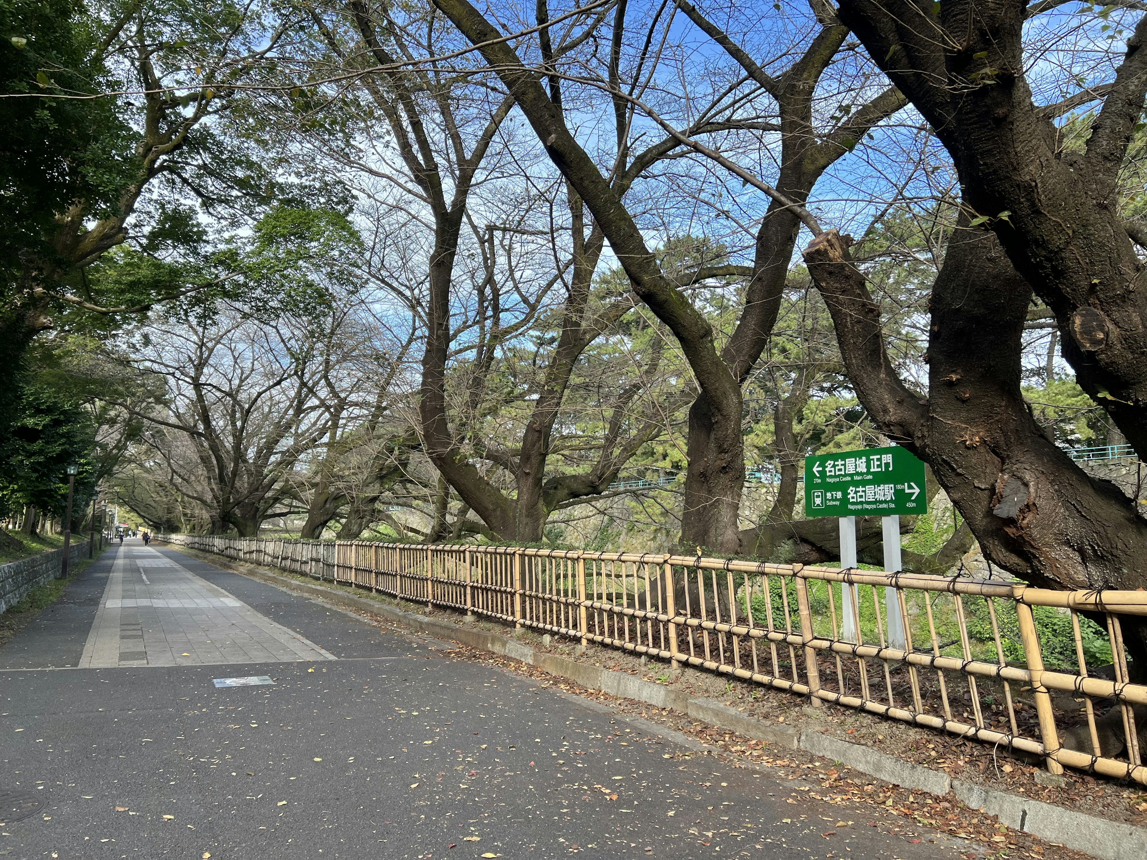 Tree-lined path with a bamboo fence and signs indicating park directions