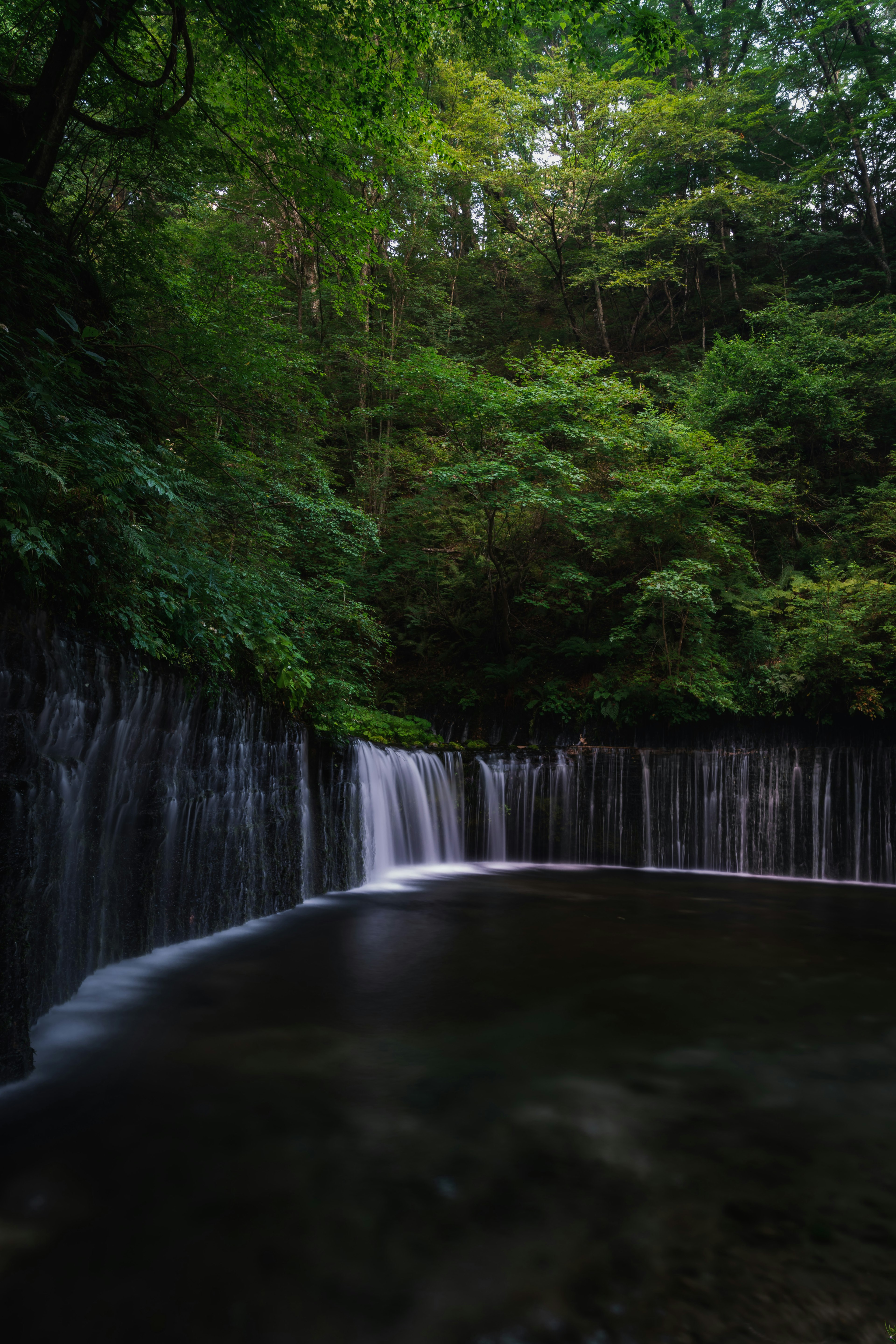 Serene waterfall surrounded by lush green forest