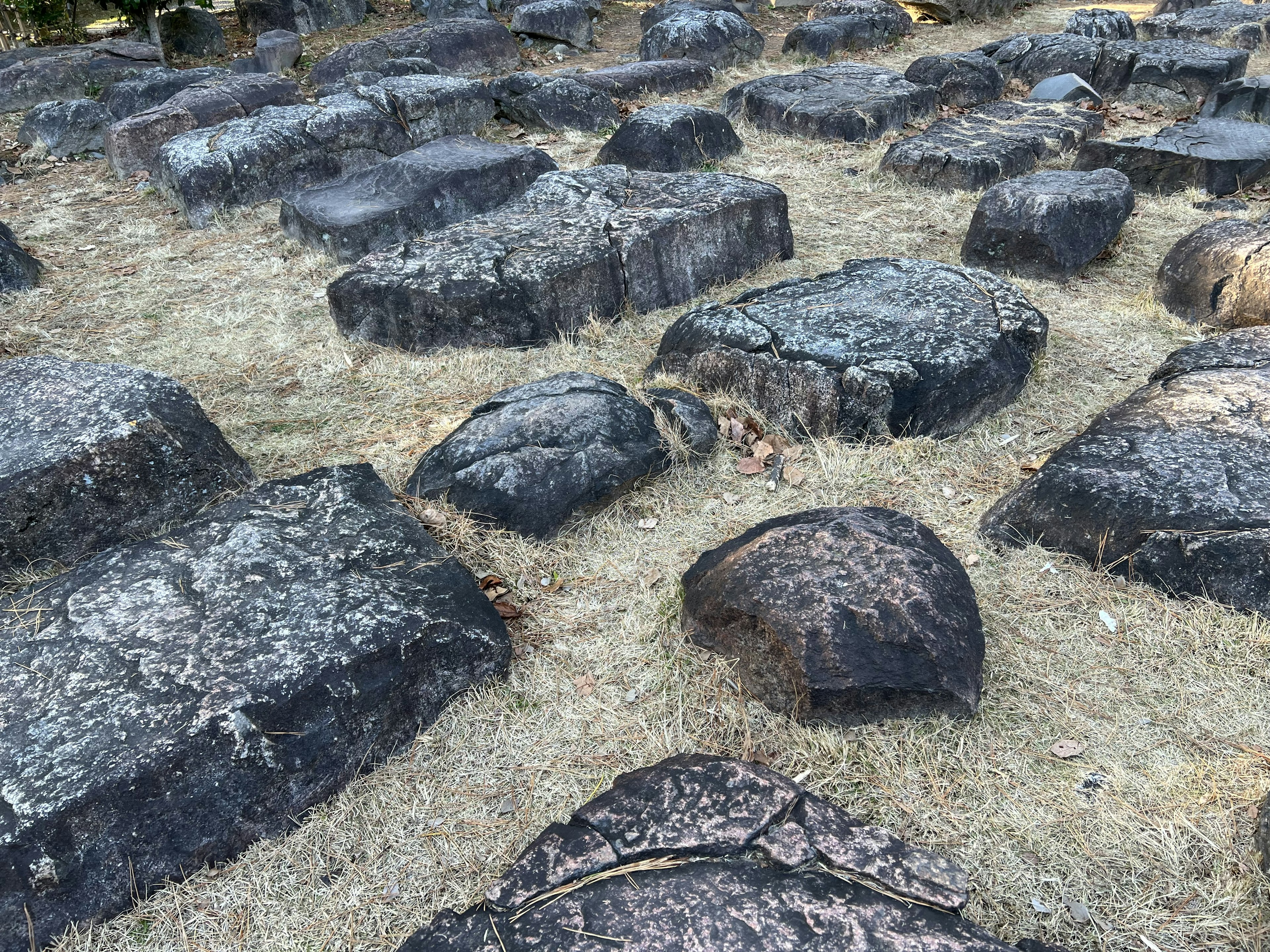 Paysage avec des blocs de pierre de forme irrégulière éparpillés sur le sol