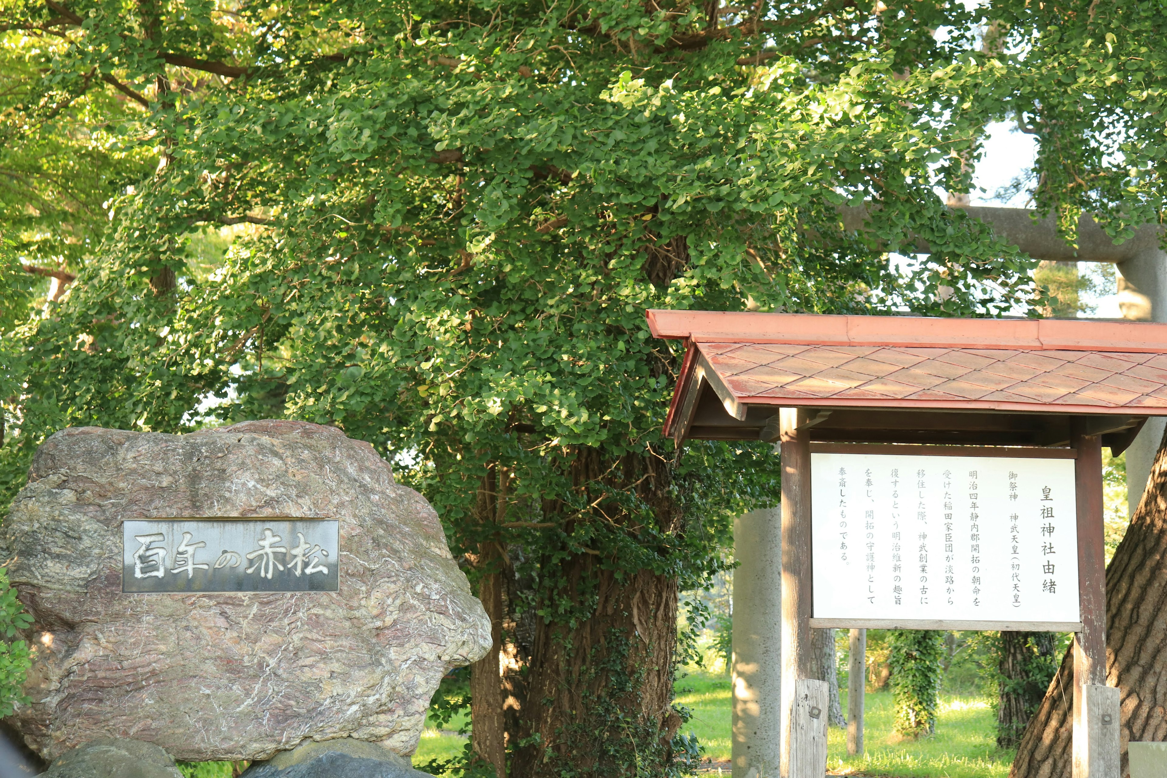 緑豊かな木々の中にある石の看板と案内板