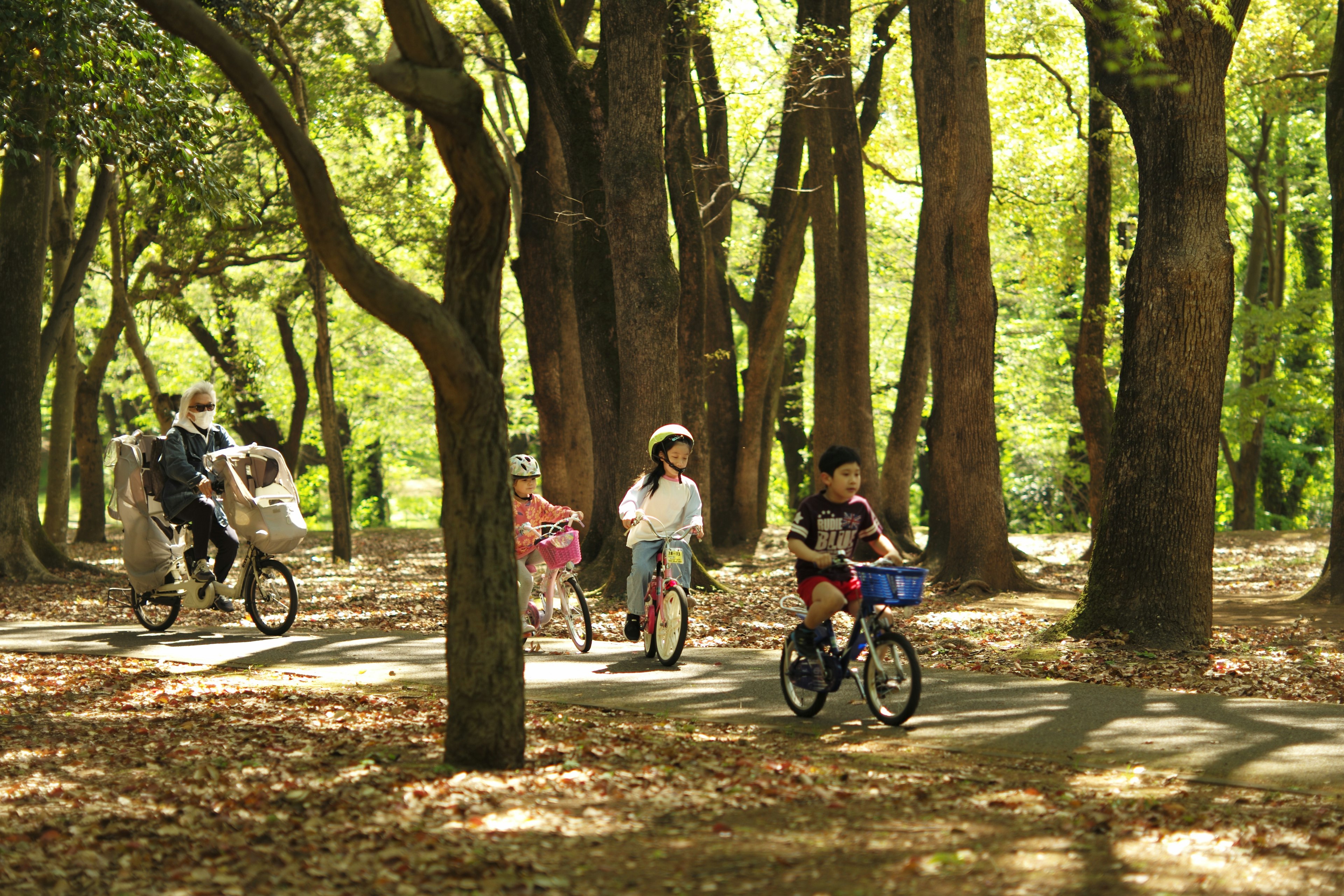 Children and adults riding bicycles on a lush green forest path