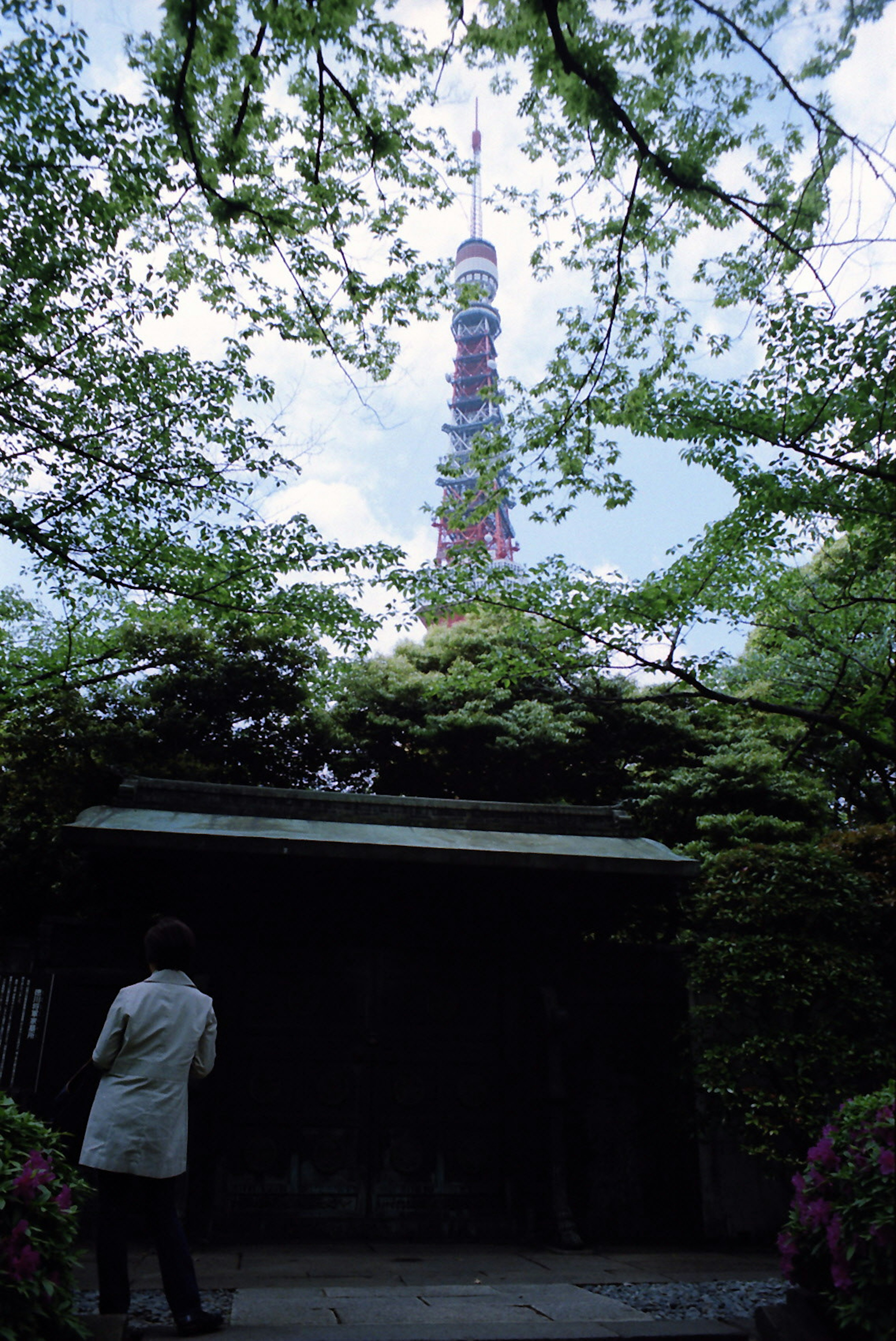 Menara Tokyo terlihat melalui vegetasi yang rimbun