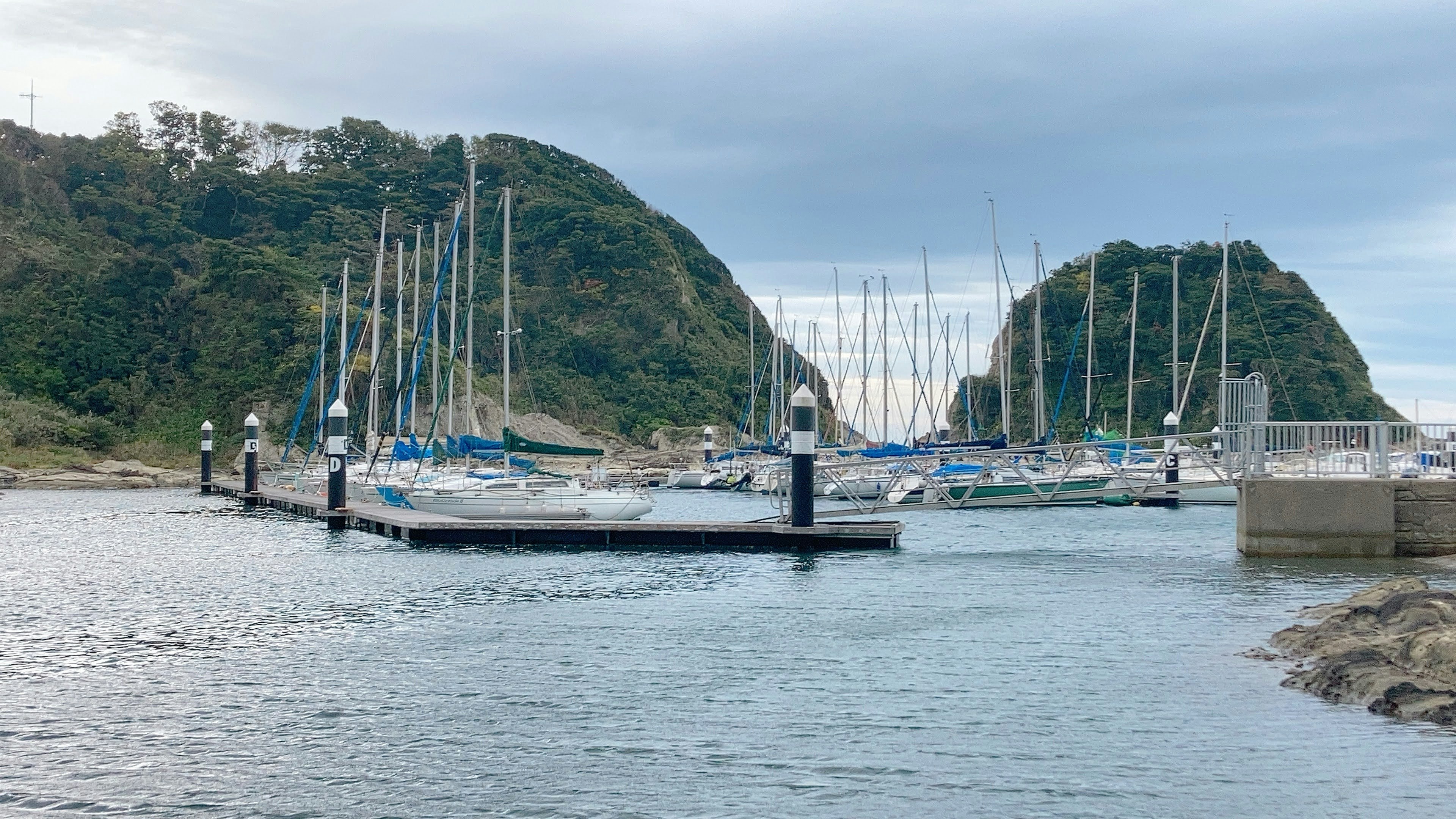 Marina dengan perahu layar dan bukit hijau di latar belakang