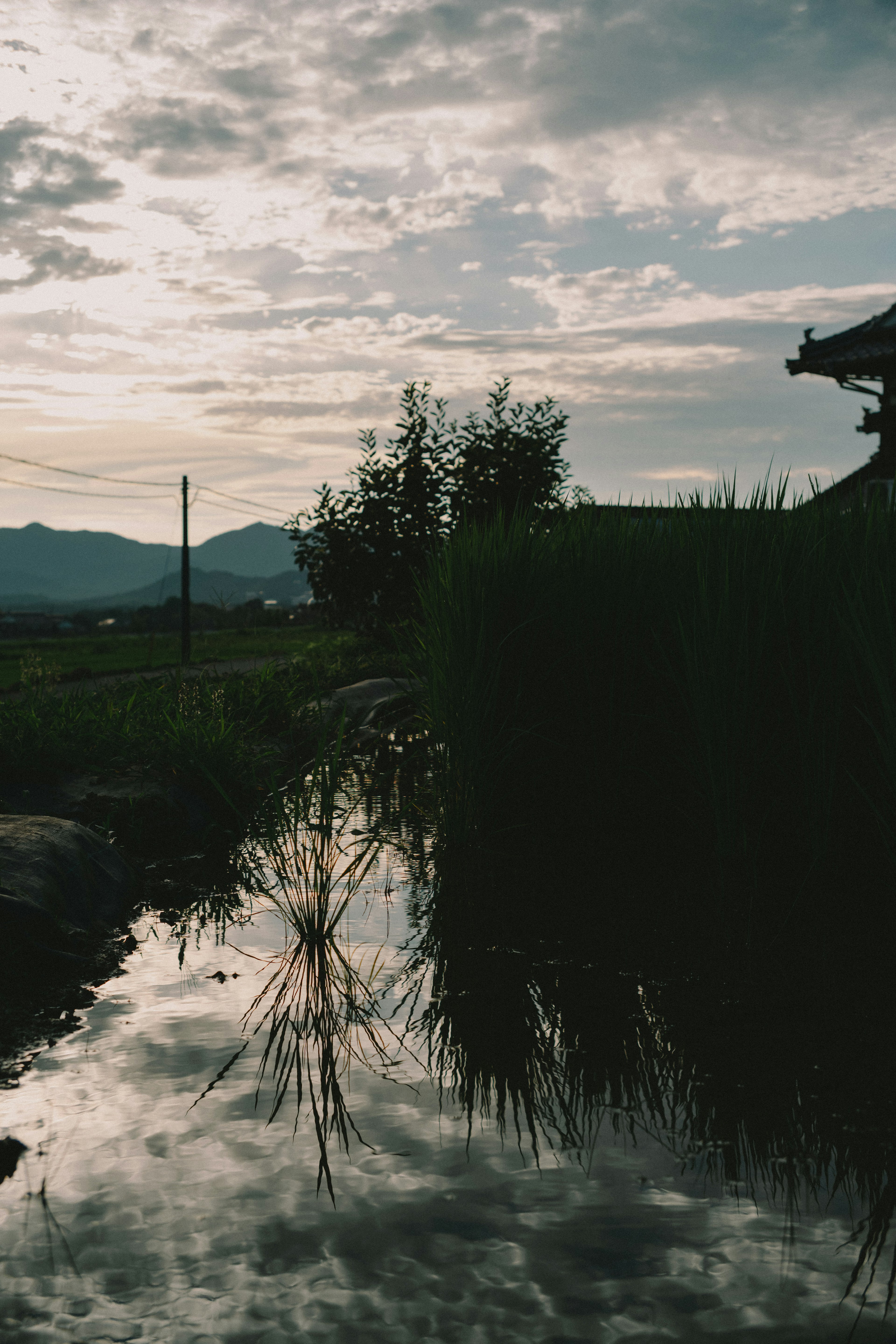 Pemandangan pedesaan yang tenang dengan refleksi sungai dan gunung saat senja