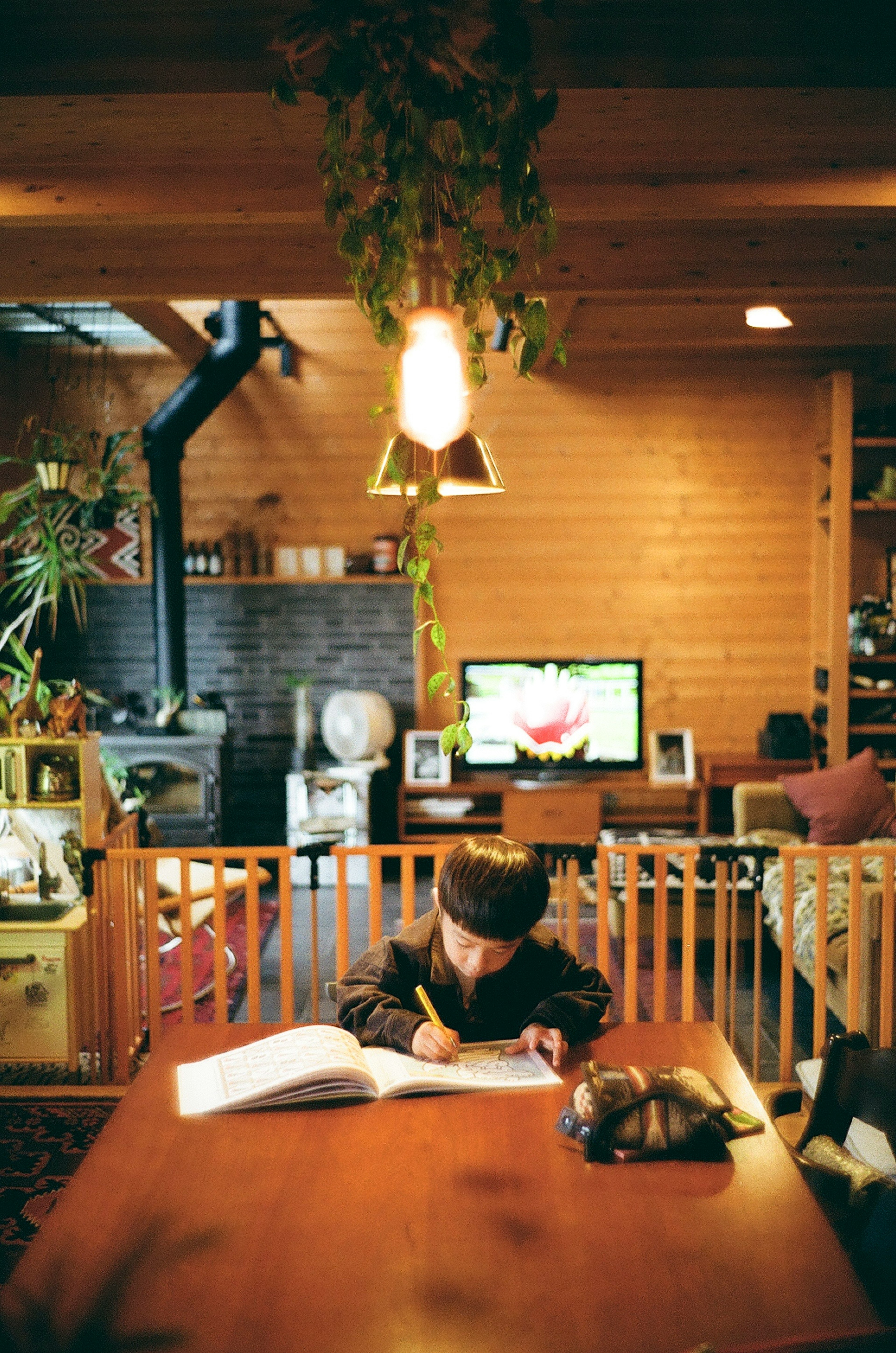 A child drawing at a wooden table in a cozy living room with plants and a TV