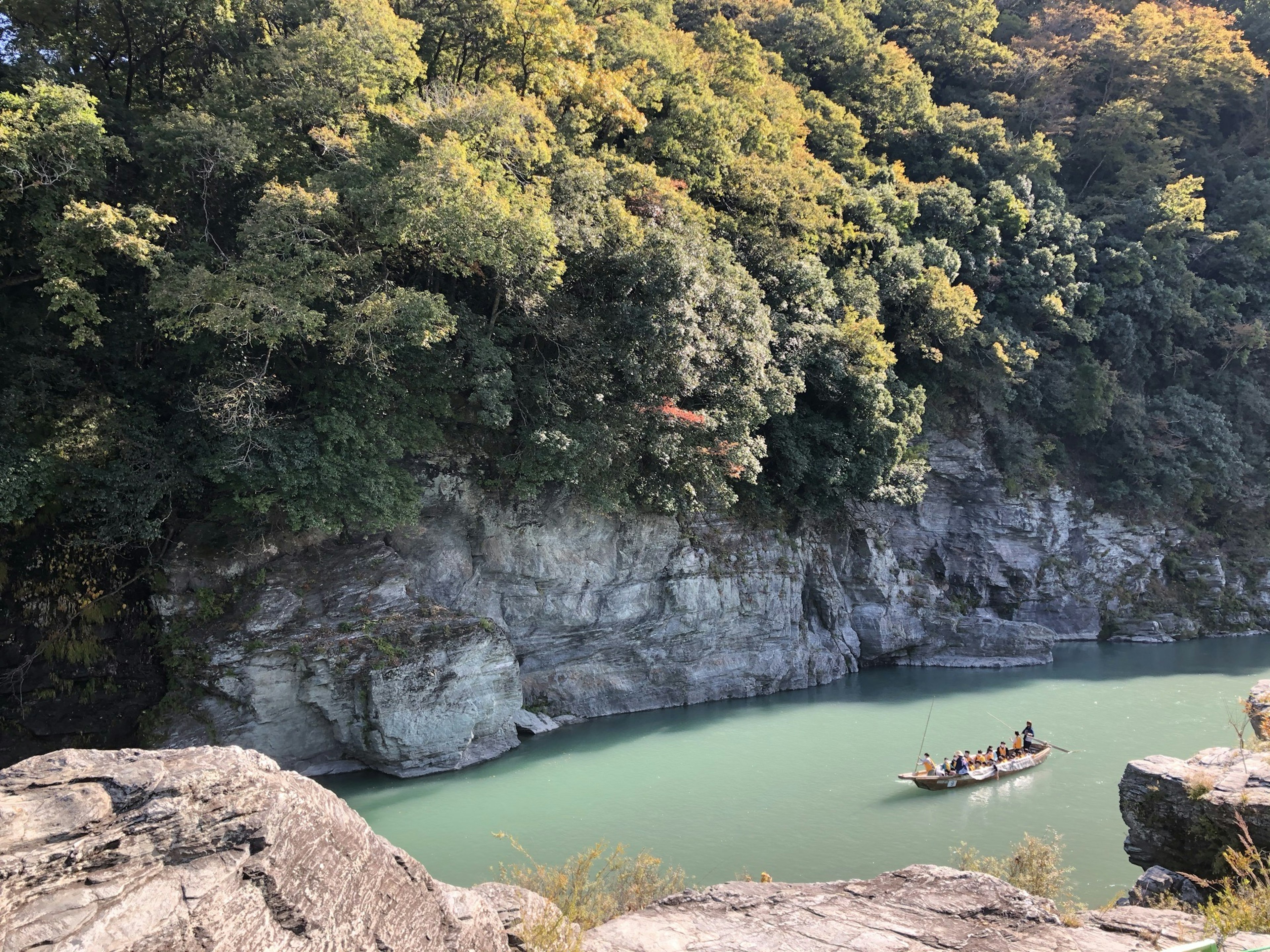 Vista panoramica di un fiume con vegetazione lussureggiante e una piccola barca