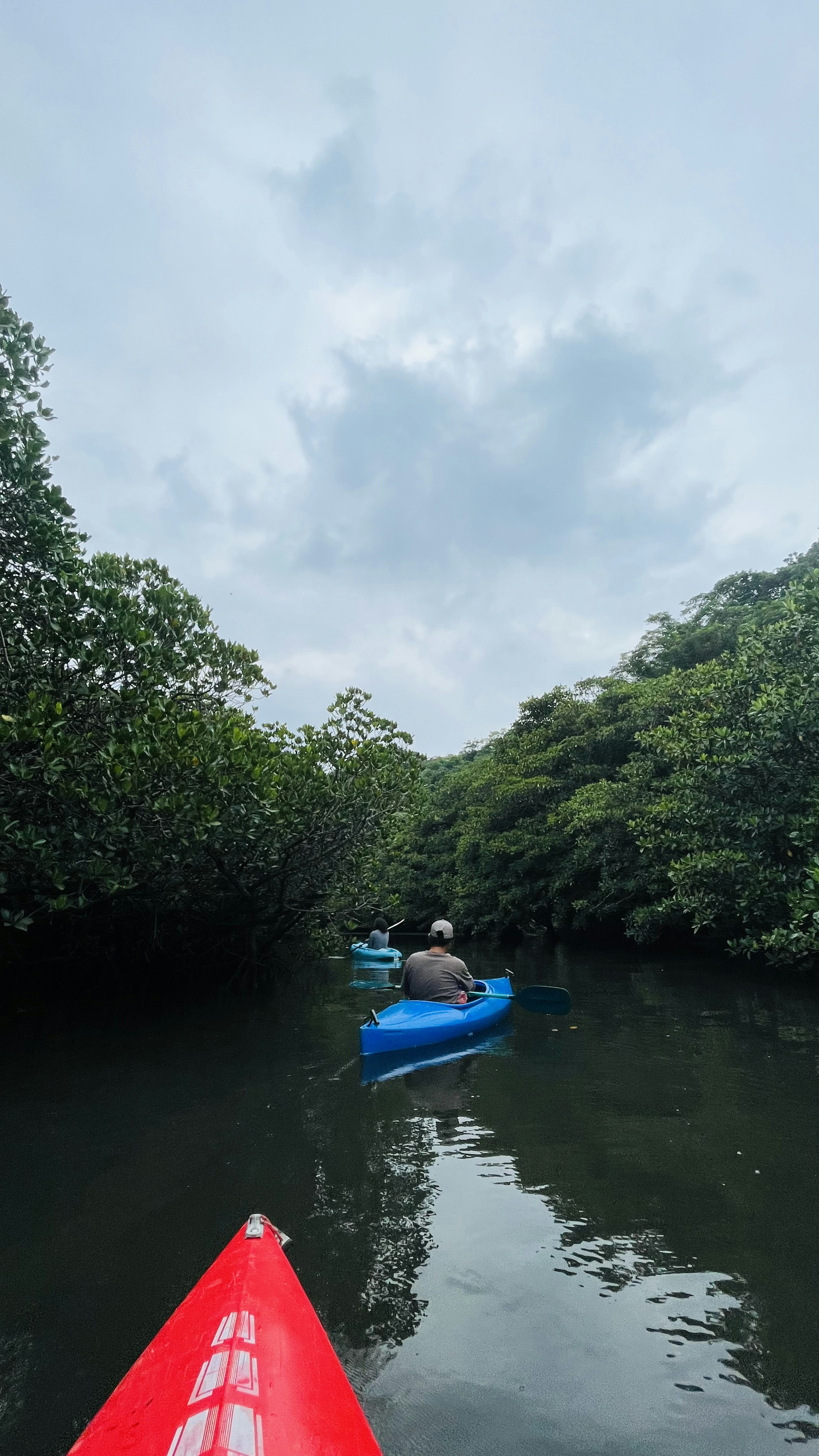 Des gens faisant du kayak dans une forêt verdoyante avec de l'eau calme