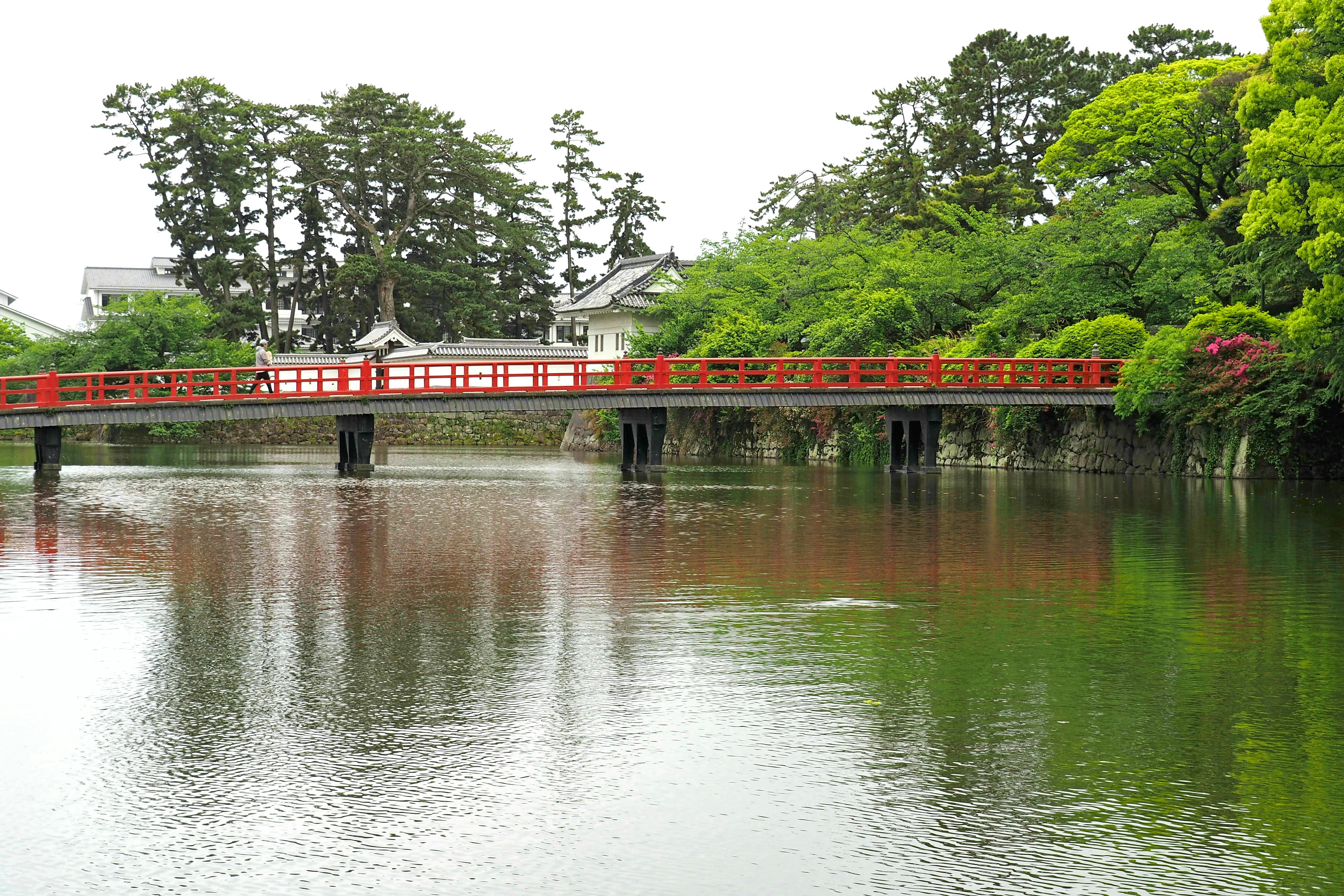 一個寧靜的池塘景色，紅橋在水面上反射