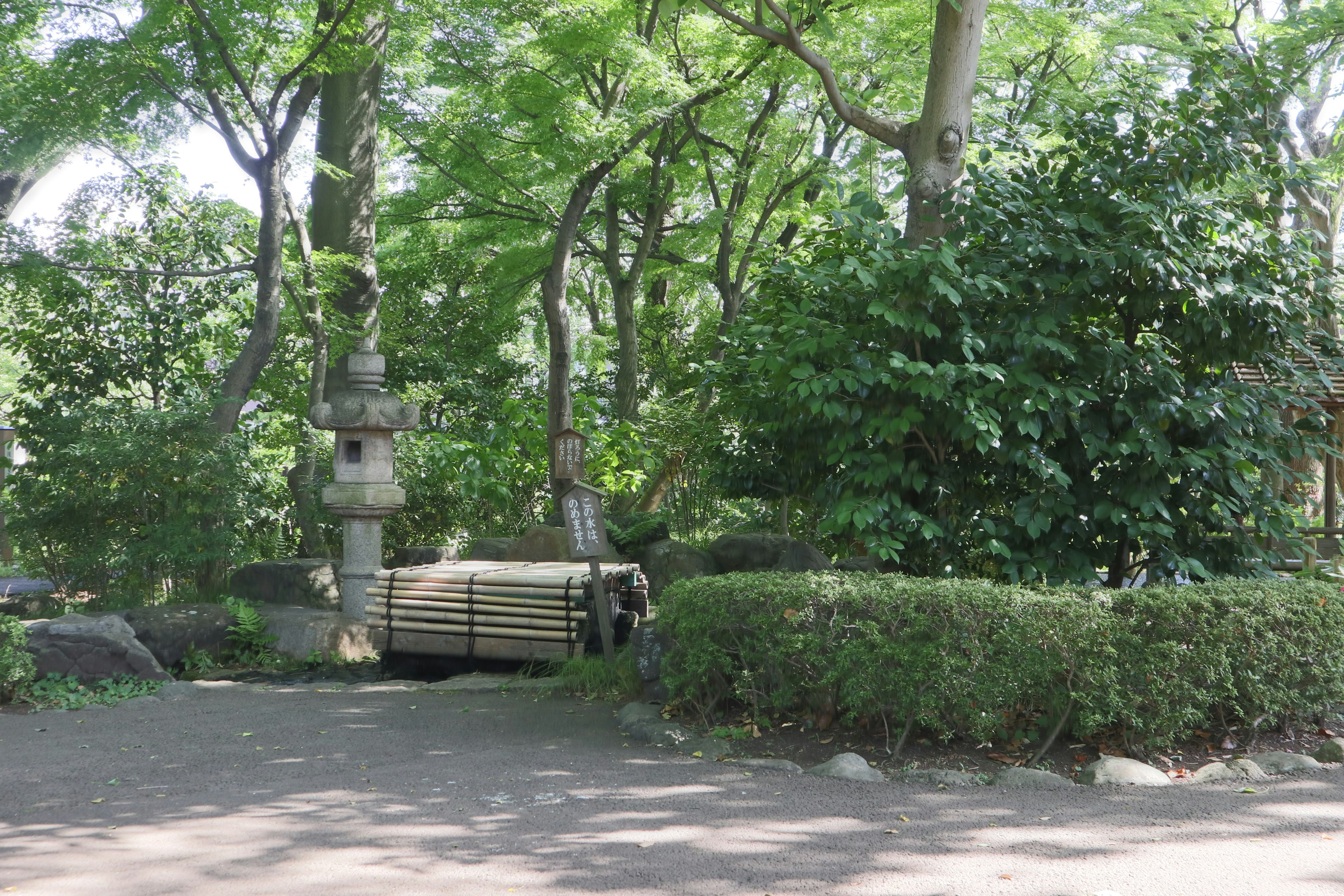 緑の木々に囲まれた公園の一角にある木製のベンチと石の彫刻