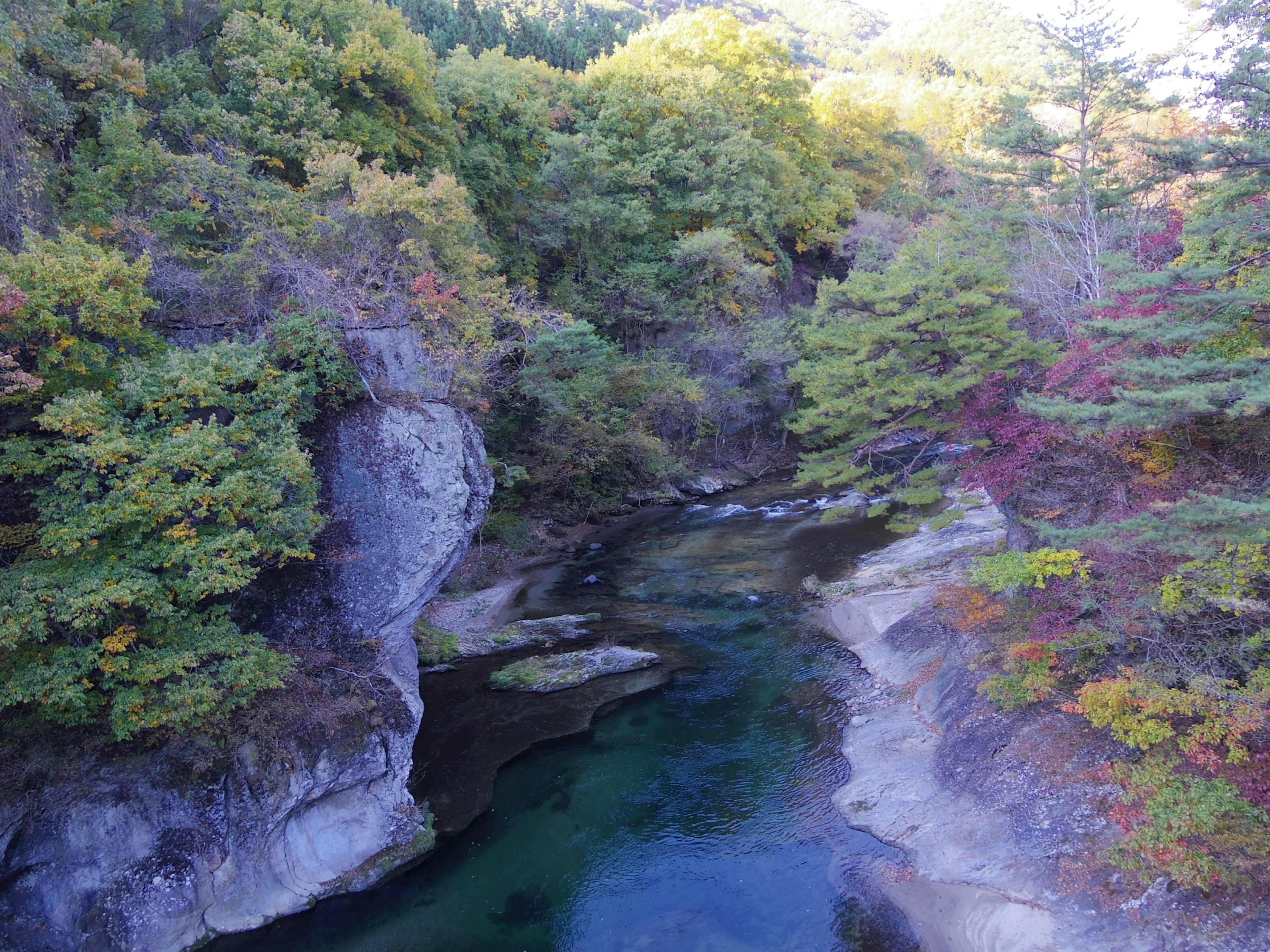 Scenic view of a clear stream surrounded by green and yellow foliage