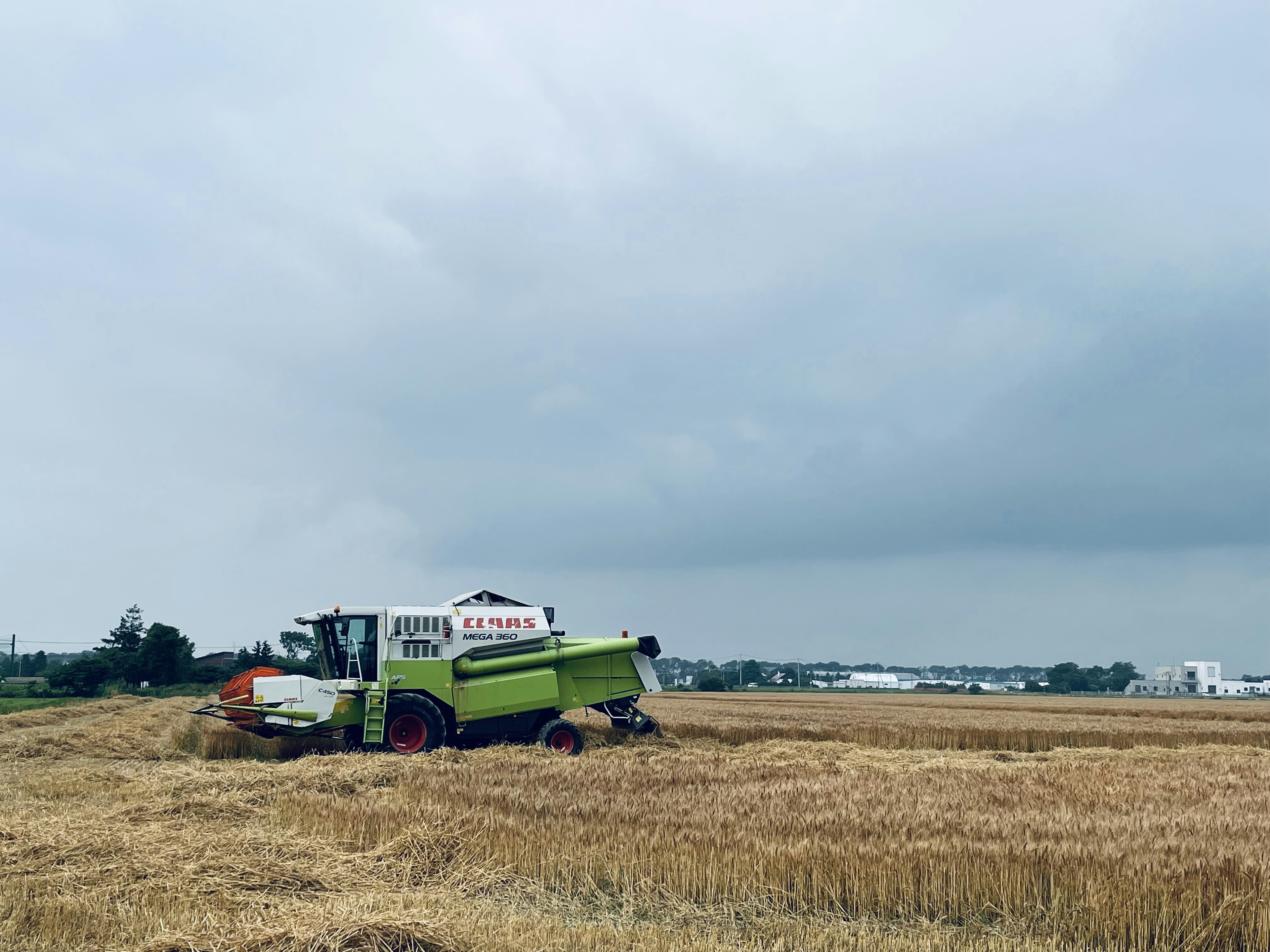 Una mietitrebbia che lavora in un vasto campo di grano