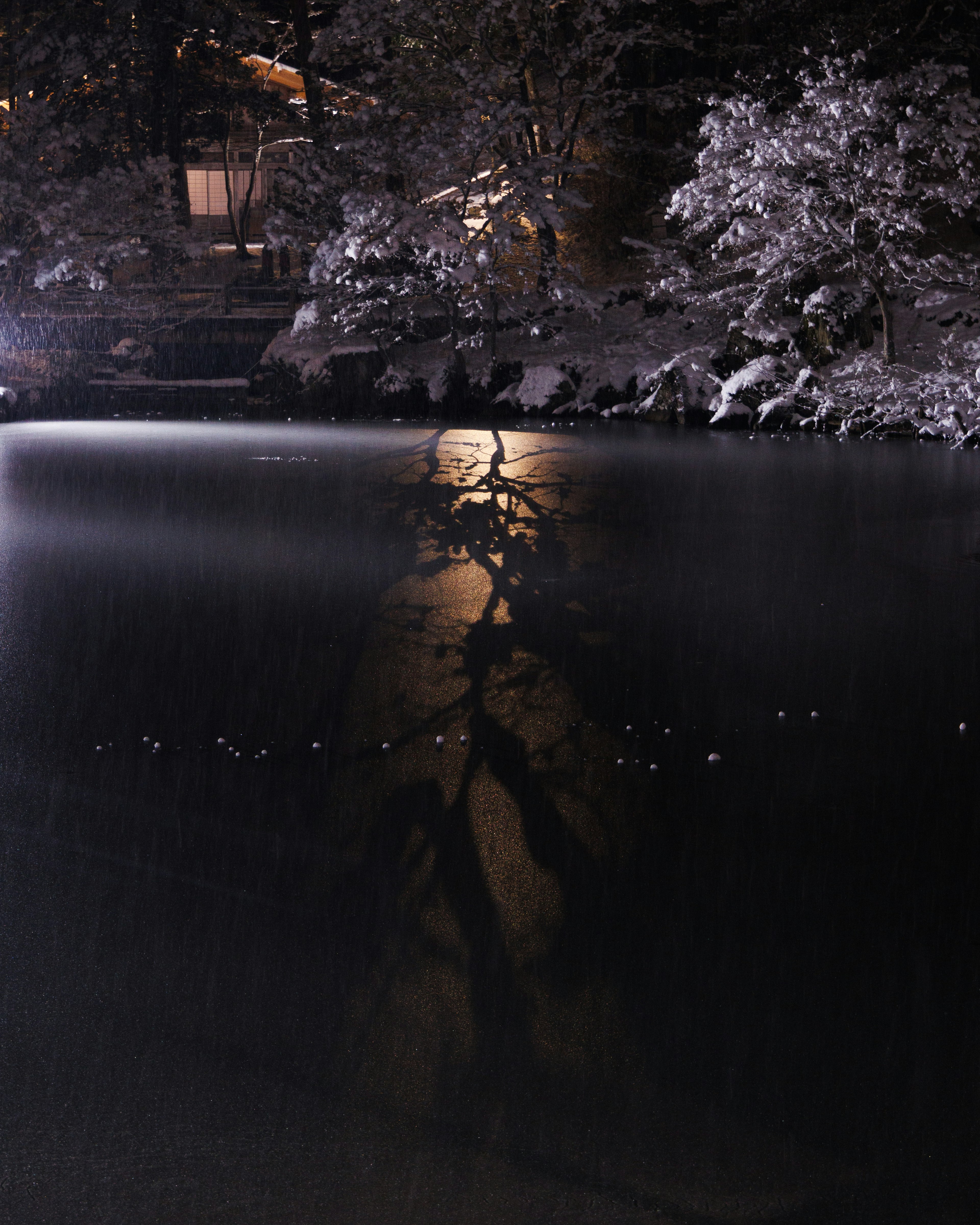 Escena nocturna de un paisaje nevado con sombras de árboles reflejadas en el agua tranquila