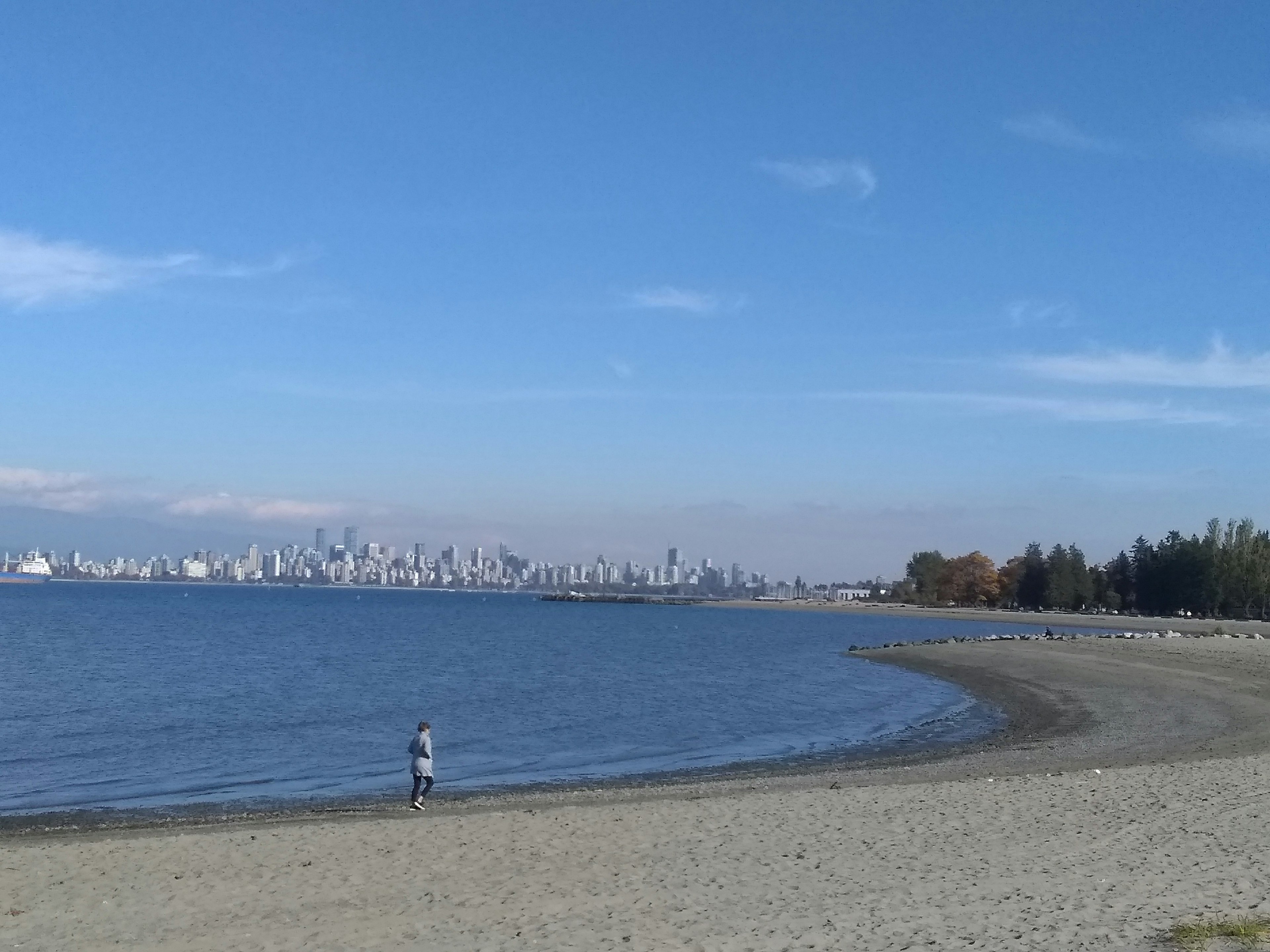 A person walking along a beach with blue sky and water in the background