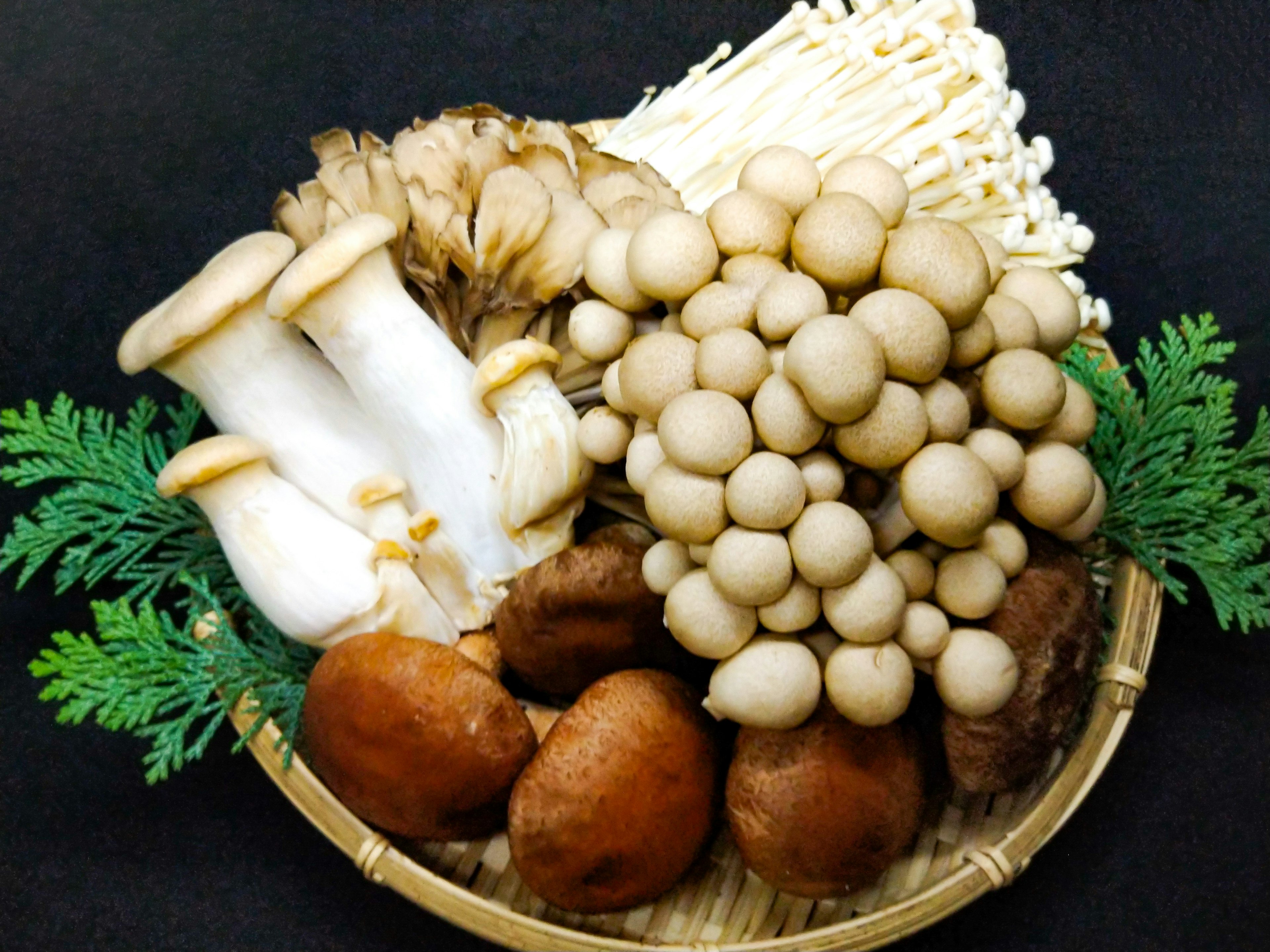 A basket filled with various types of mushrooms