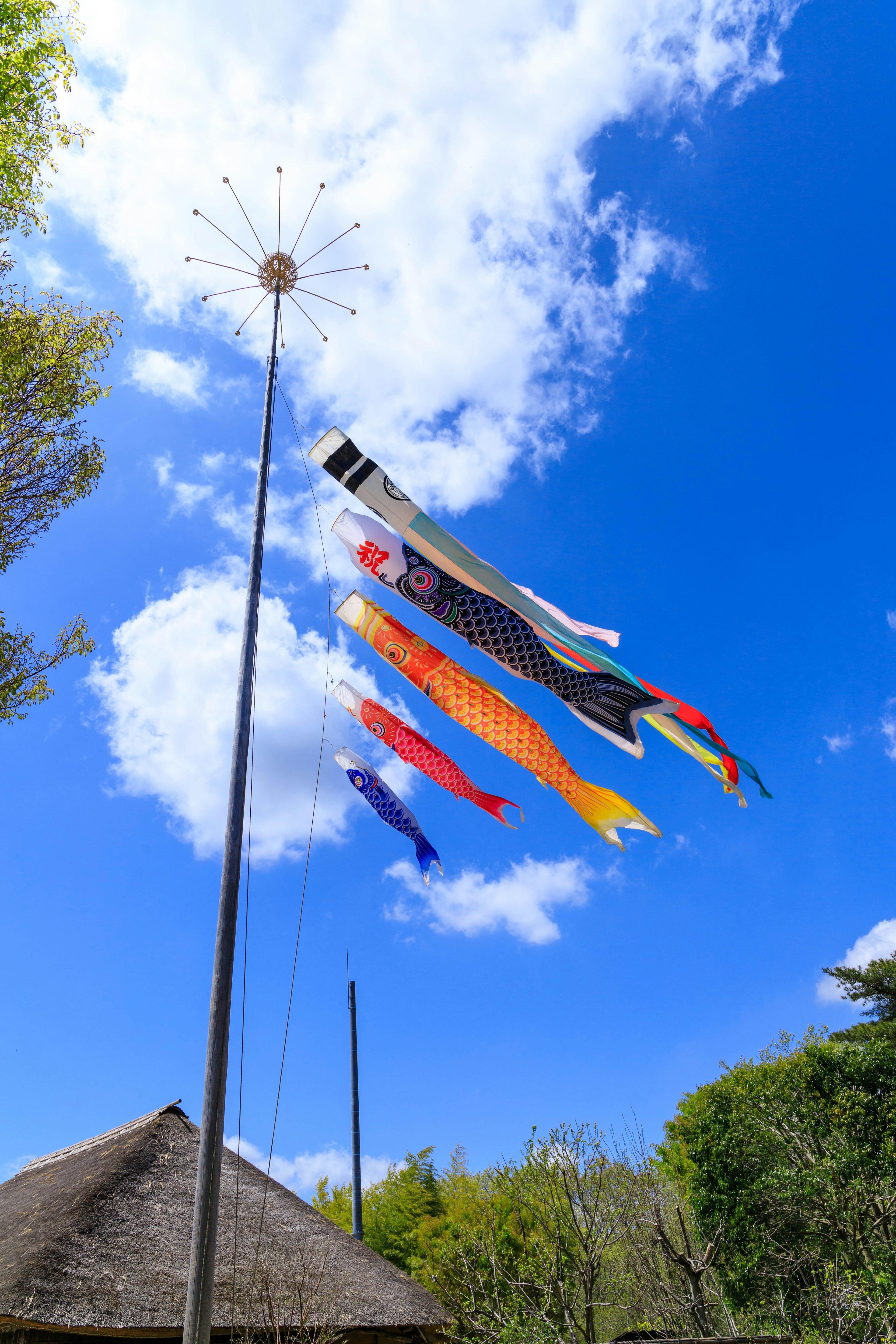 Koinobori che volano sotto un cielo blu con nuvole e vegetazione