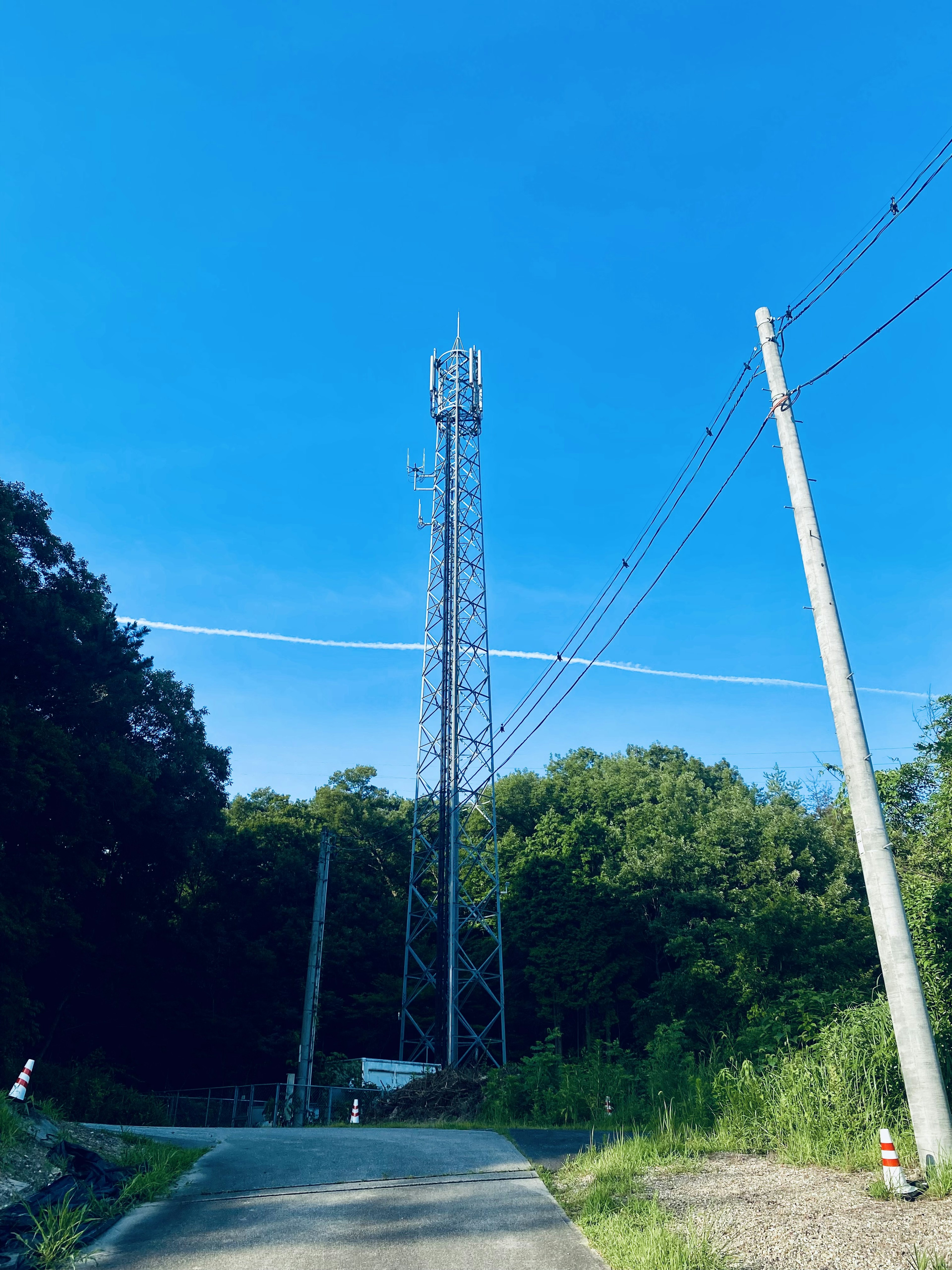 Communication tower under a blue sky with surrounding green trees