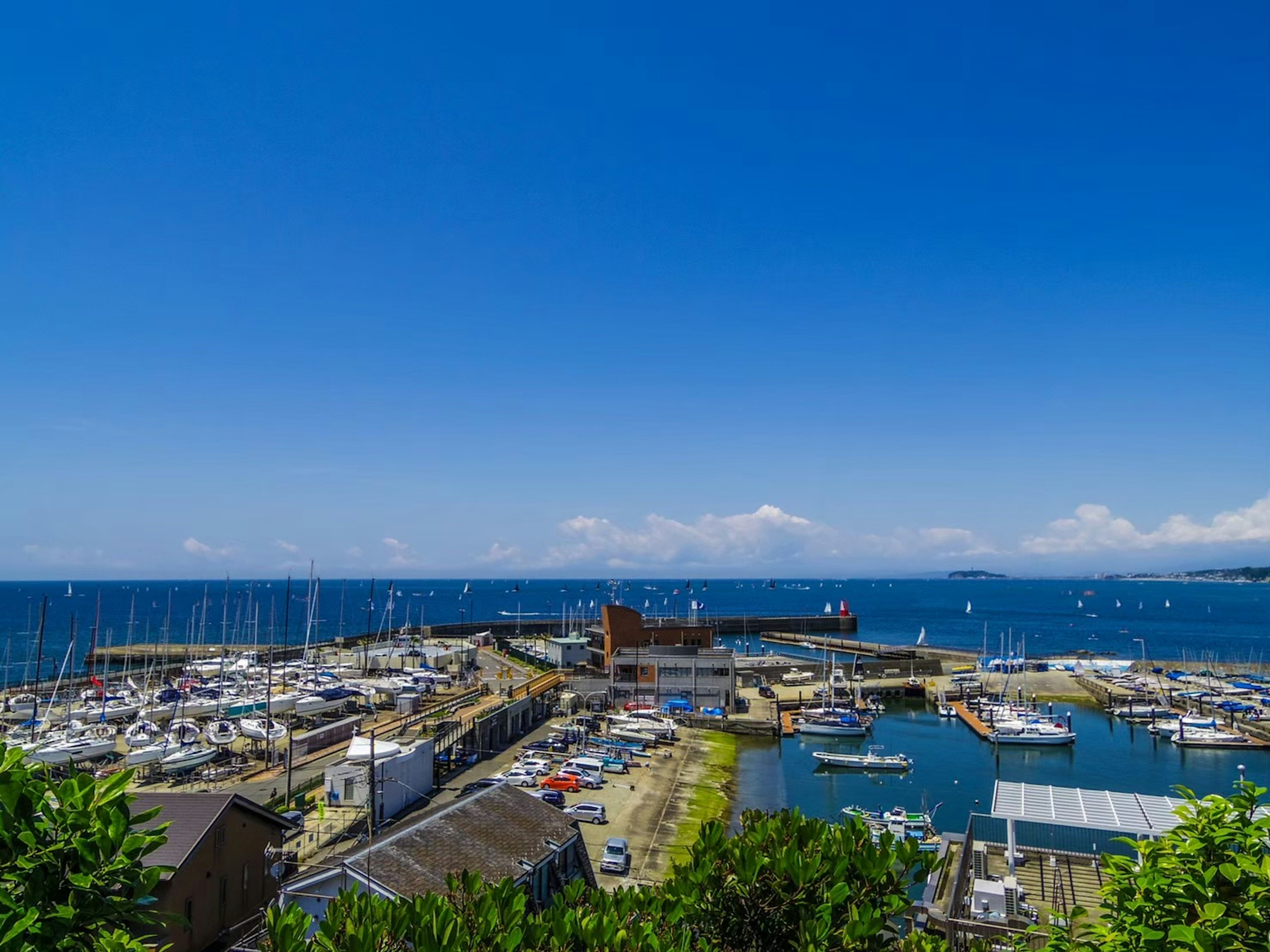 Scenic harbor view with blue sky and calm sea featuring a marina filled with yachts and green foliage