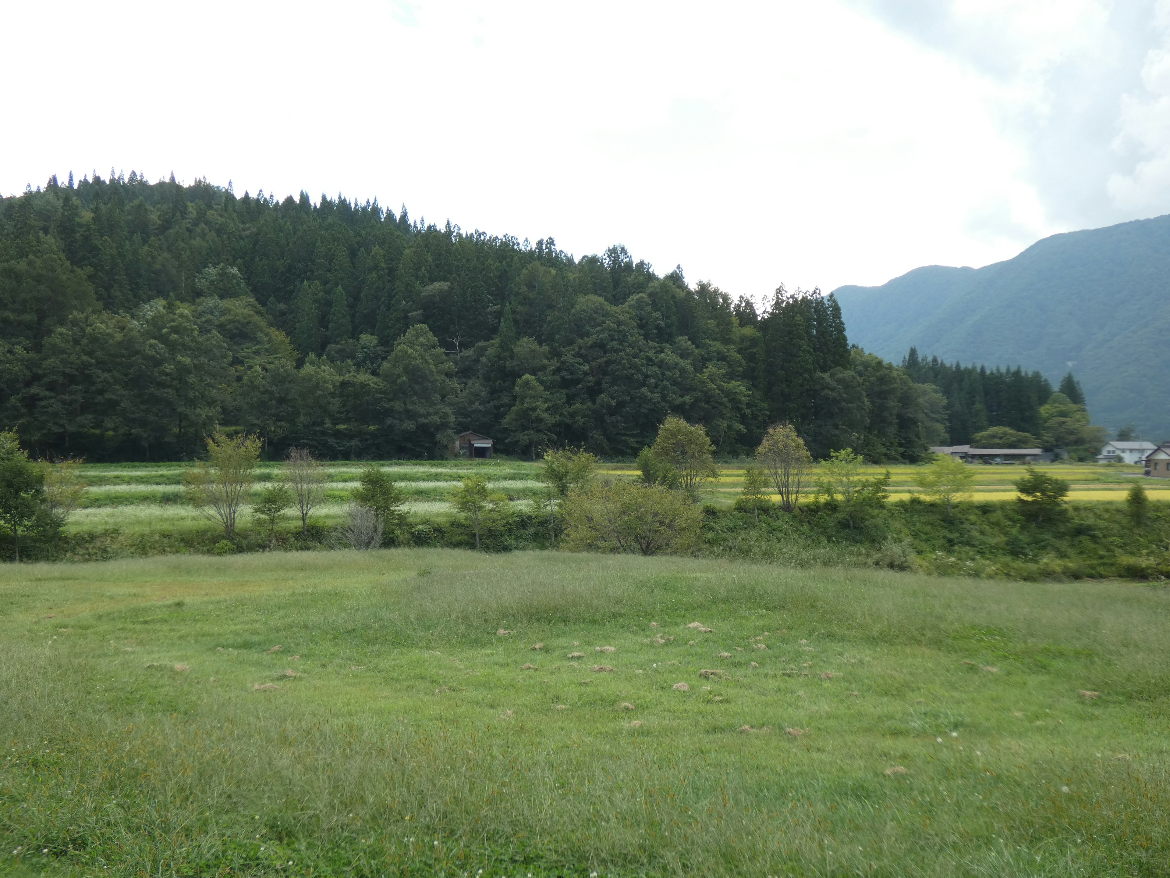 Rural landscape surrounded by green fields and mountains