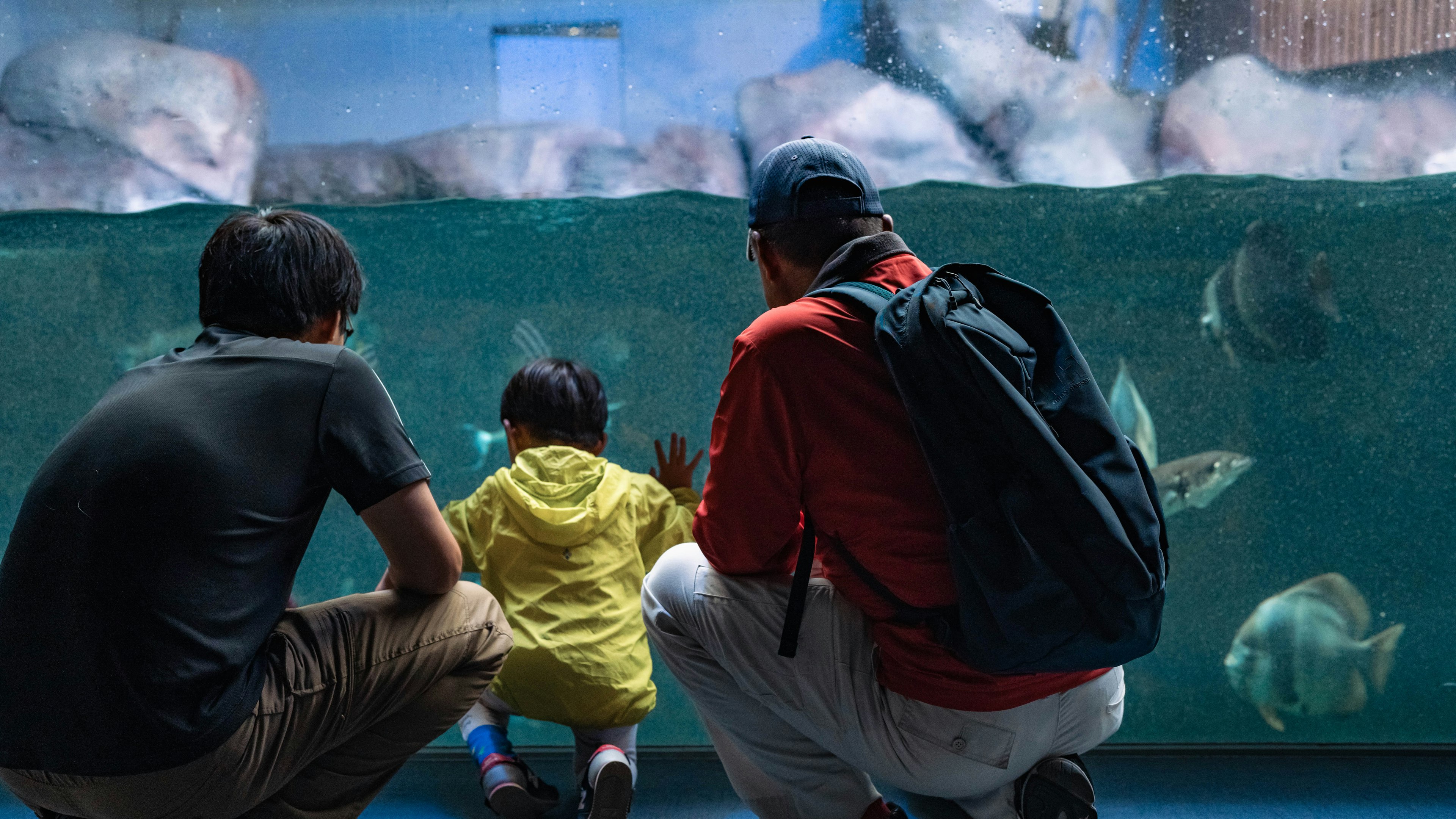 一個穿著黃色夾克的孩子在水族館與兩位成年人一起與魚互動