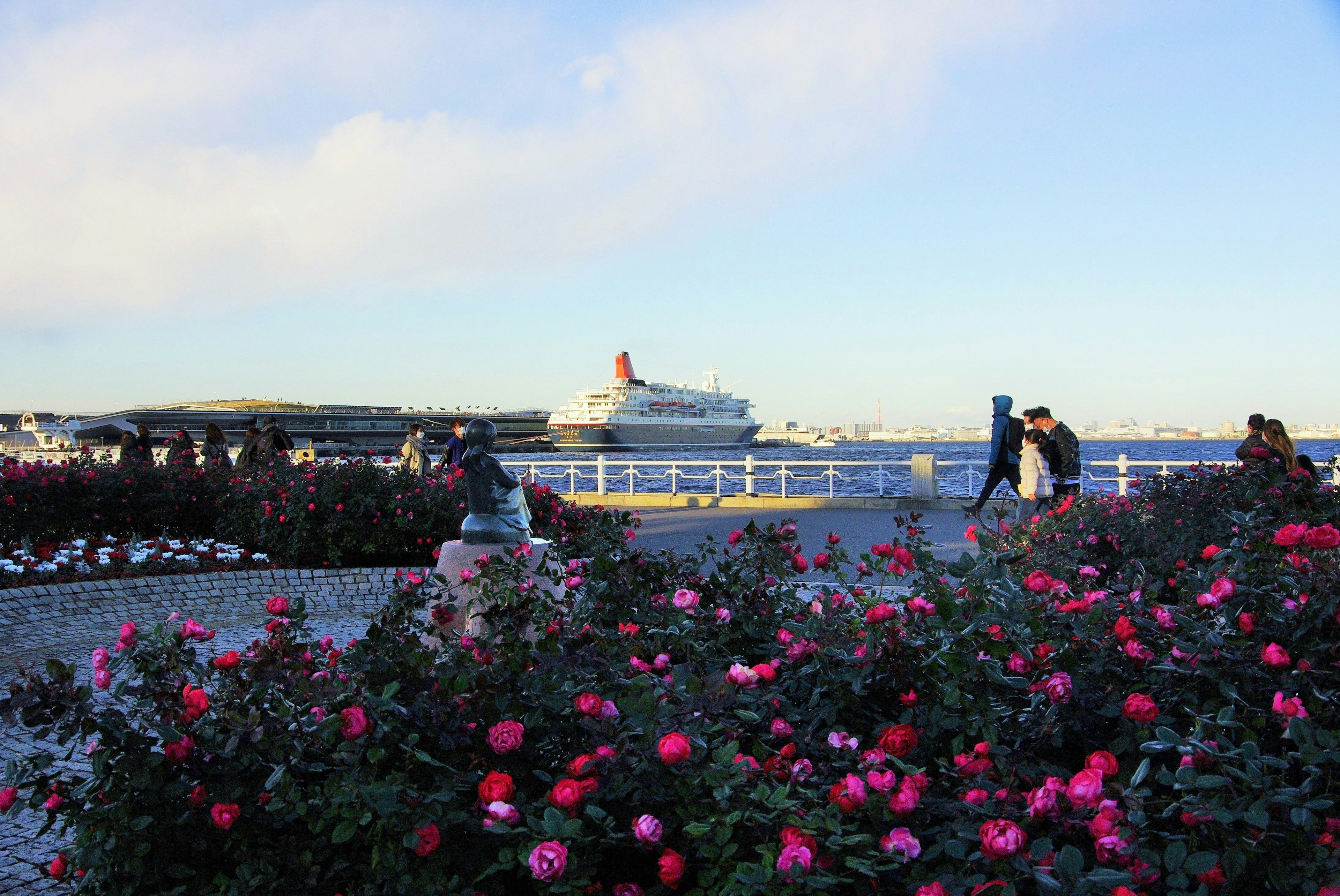 海を背景にしたバラの花と散歩する人々