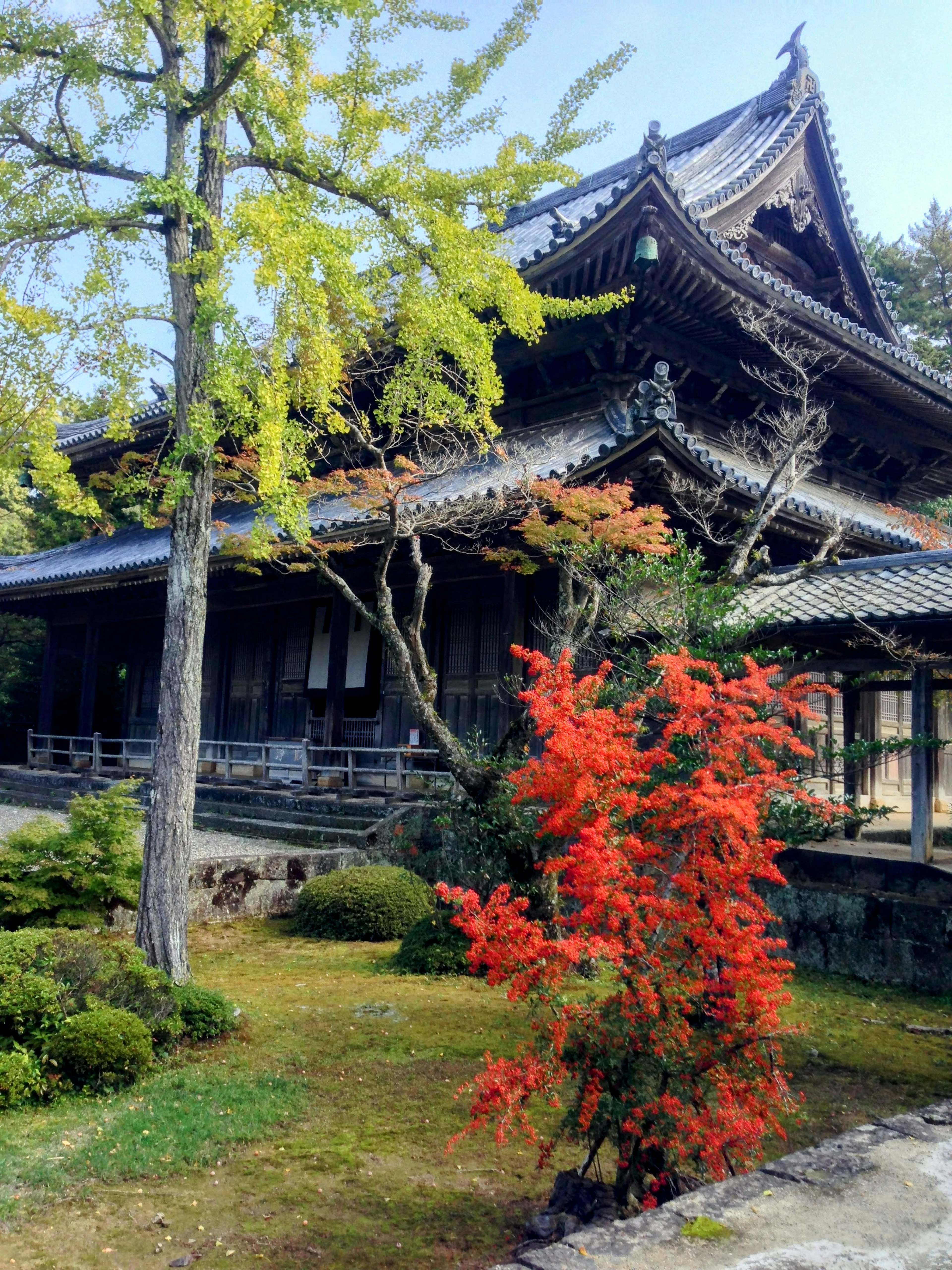 Bangunan tradisional Jepang yang indah dengan dedaunan musim gugur yang cerah