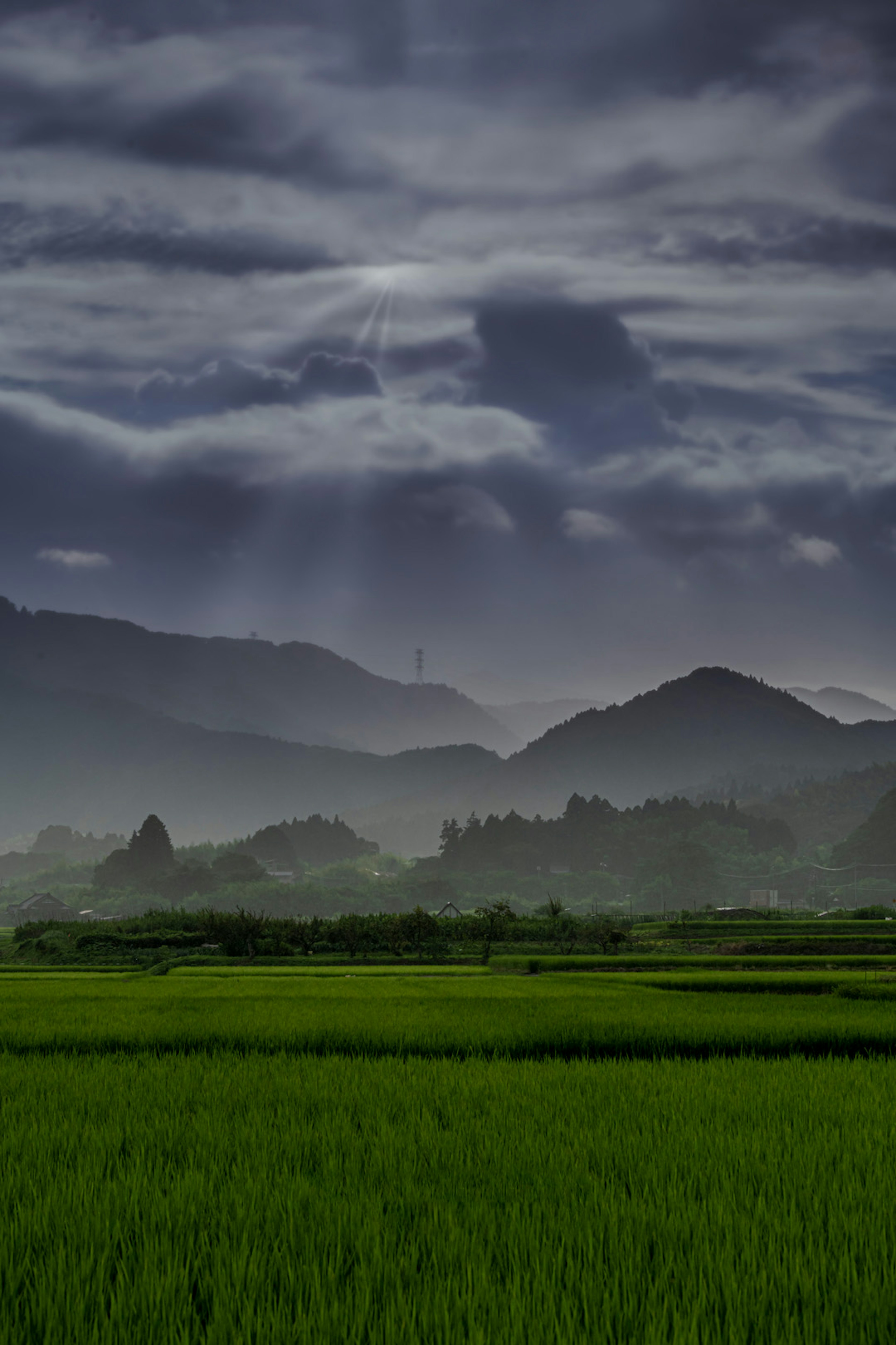 緑の田んぼと山々が広がる風景に薄暗い雲が浮かぶ