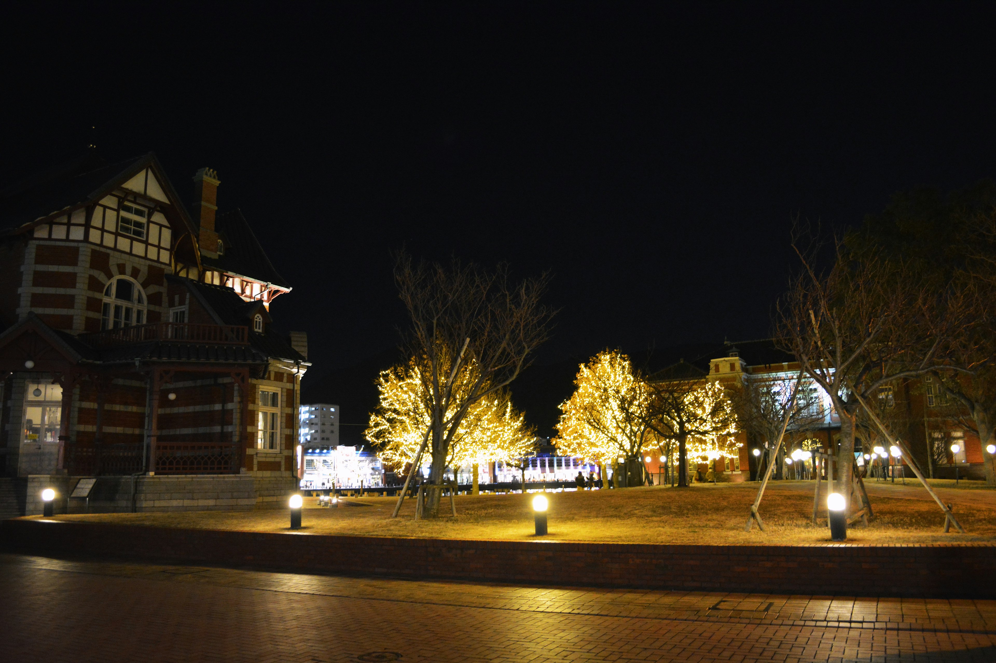 Árboles bellamente iluminados y un edificio histórico en un parque nocturno