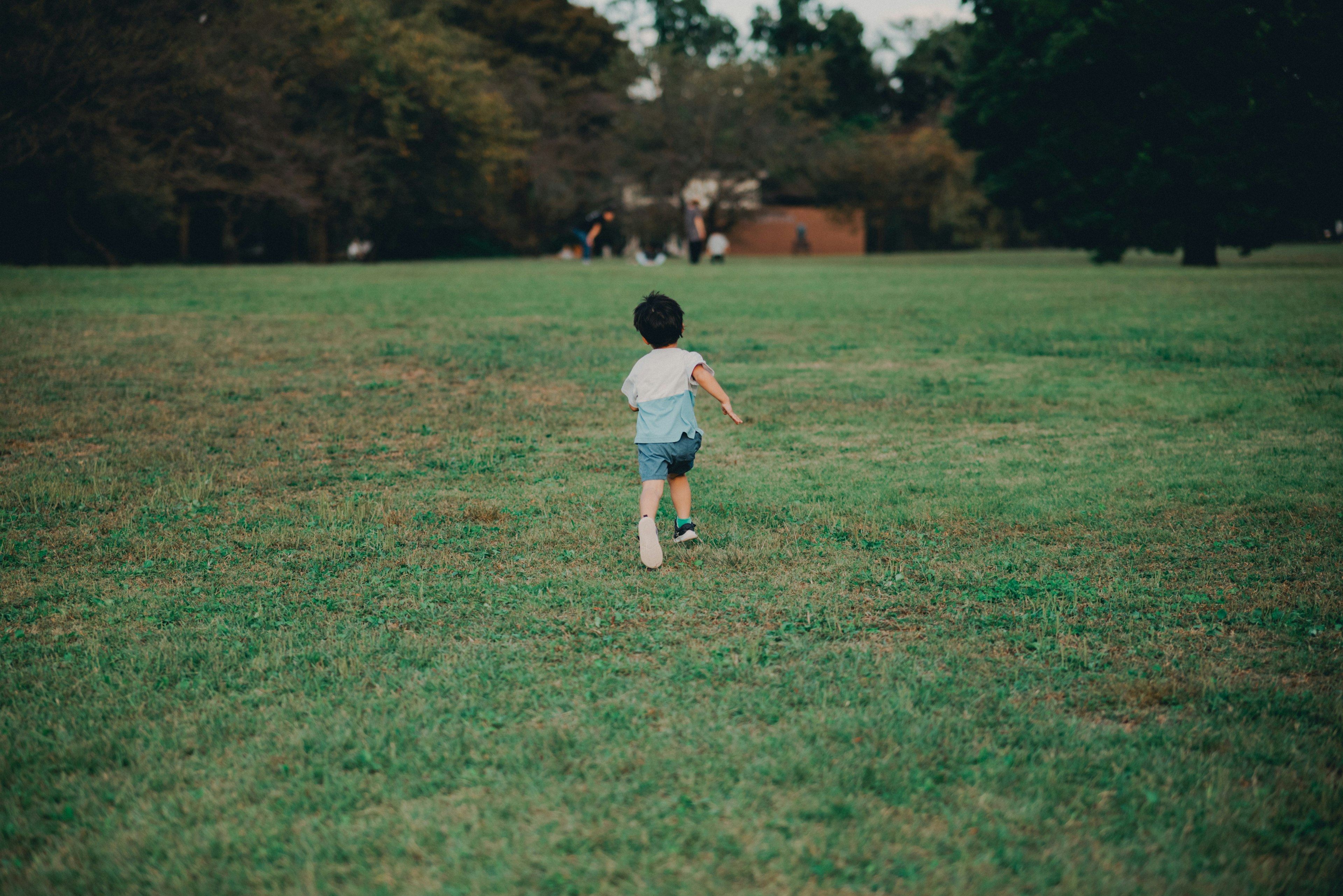 A child running on a green grassy field from behind