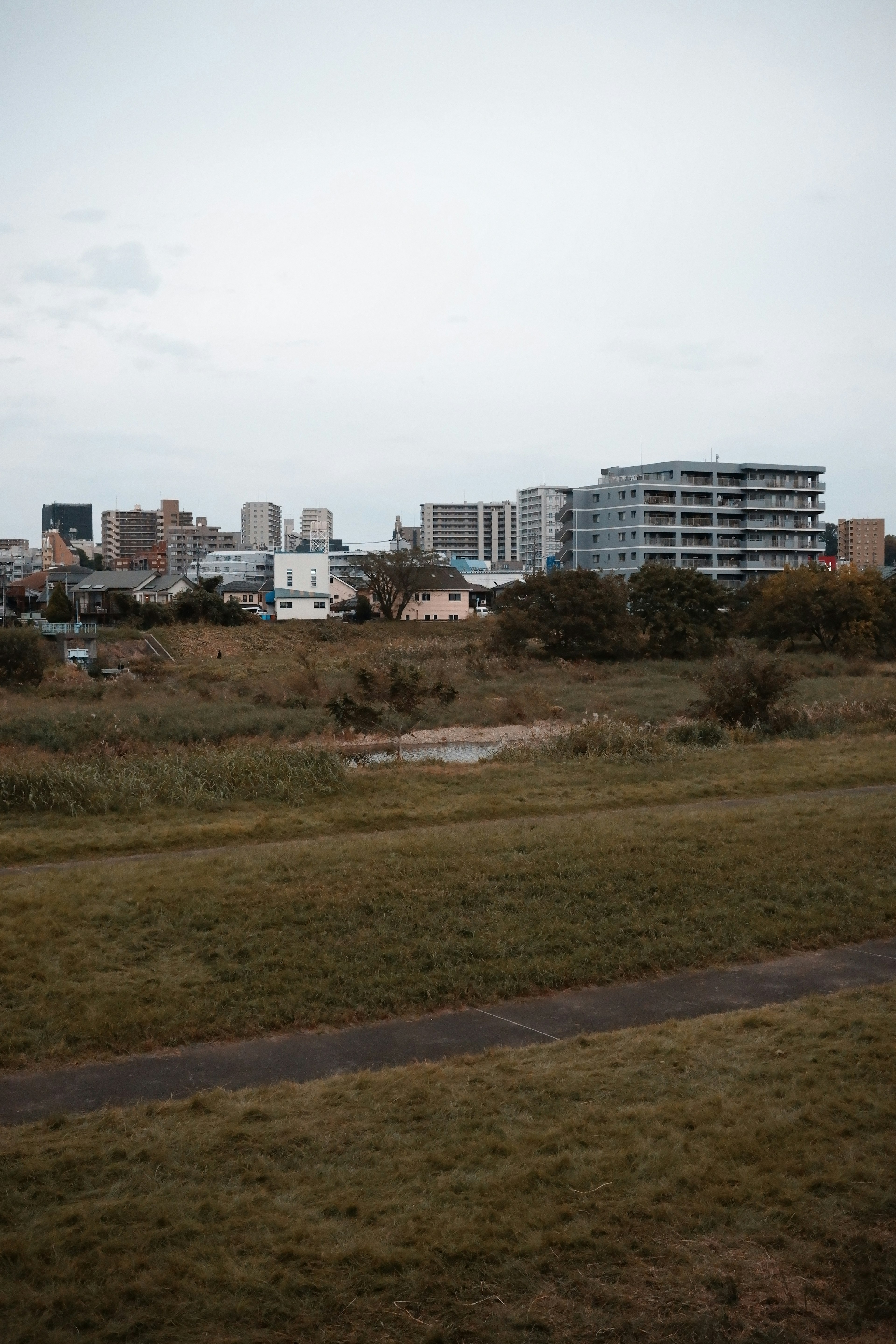 城市风景与绿色草地和背景建筑