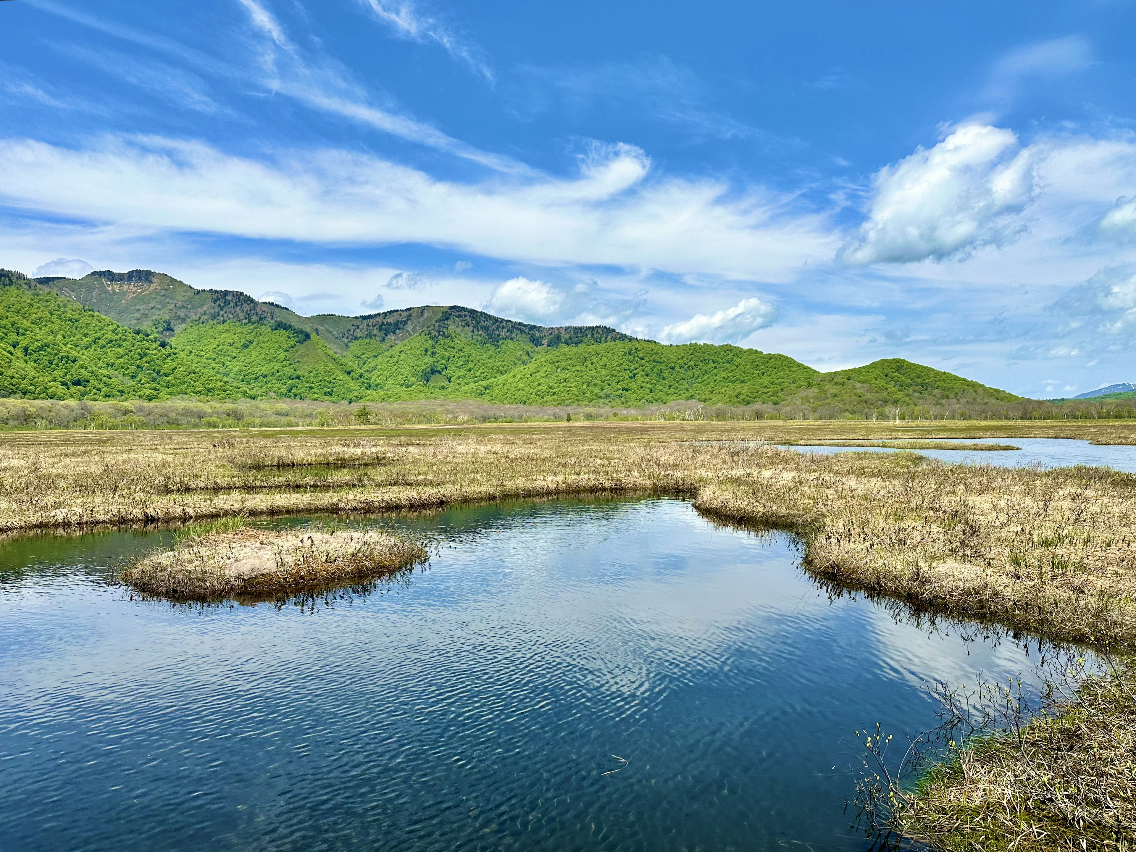 Ruhige Feuchtgebietslandschaft umgeben von grünen Bergen und blauem Himmel