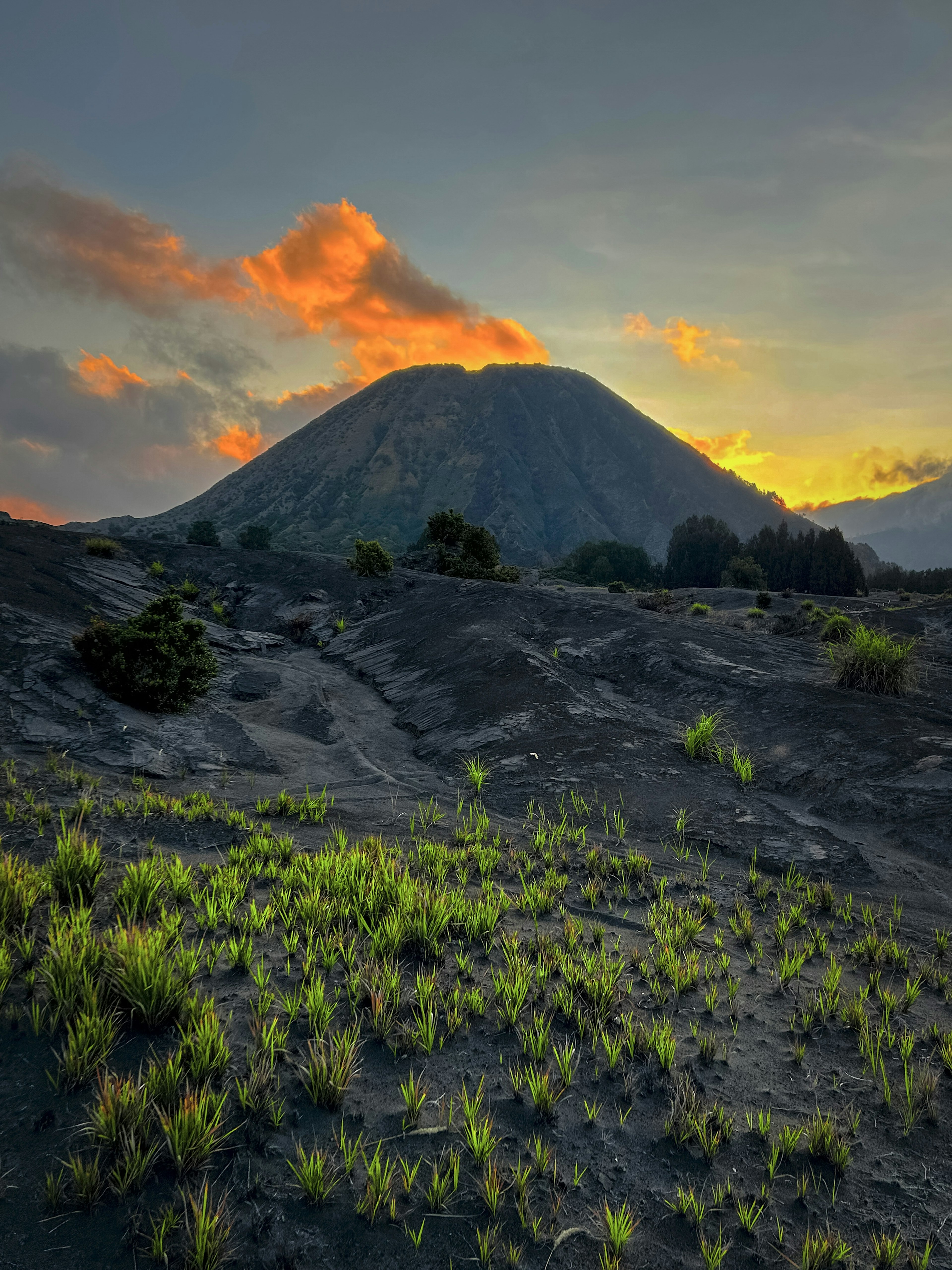 火山と夕焼けの美しい風景緑の草が生える黒い土