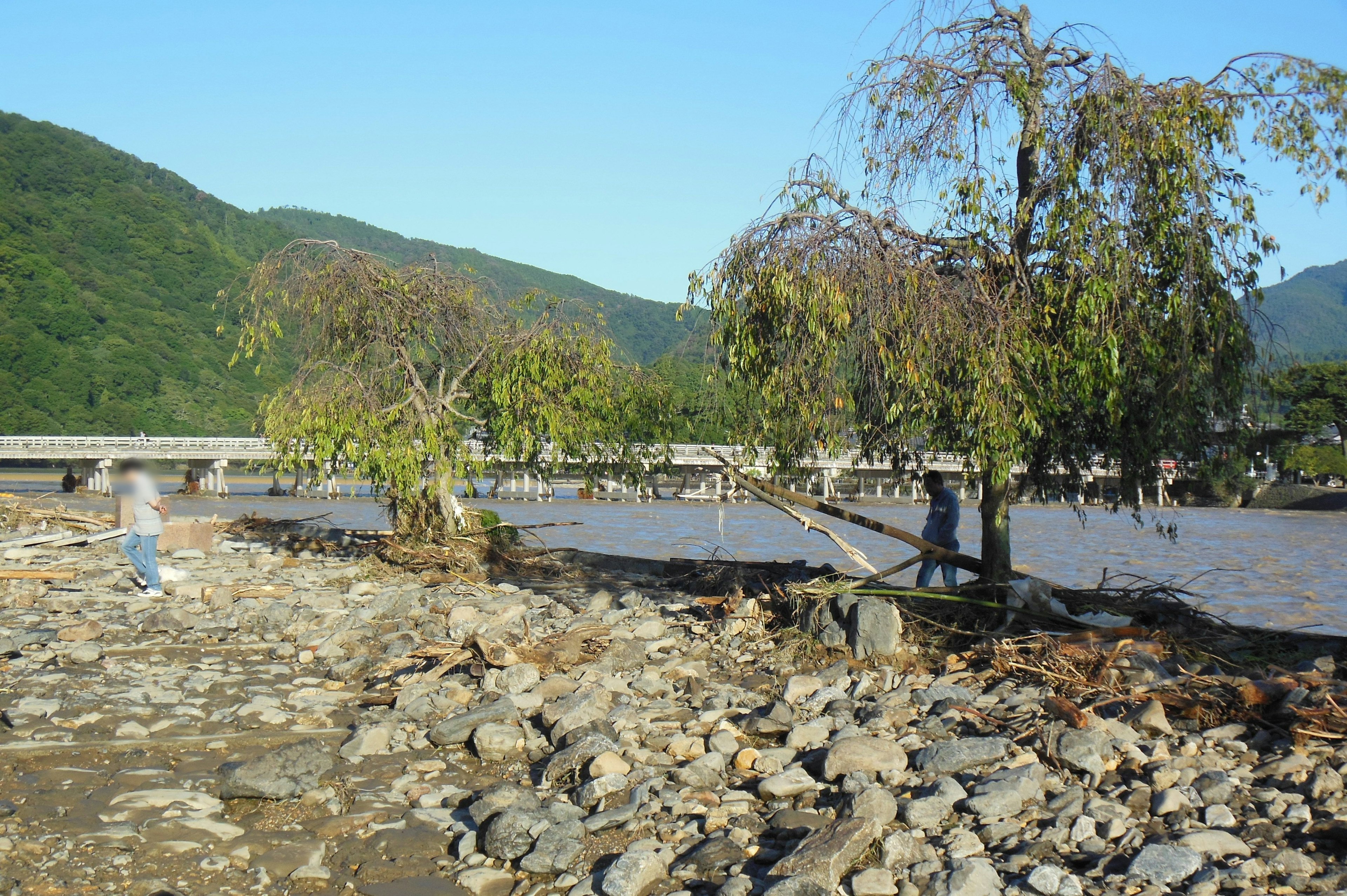 Scenic riverside view with rocky shoreline and trees in the background