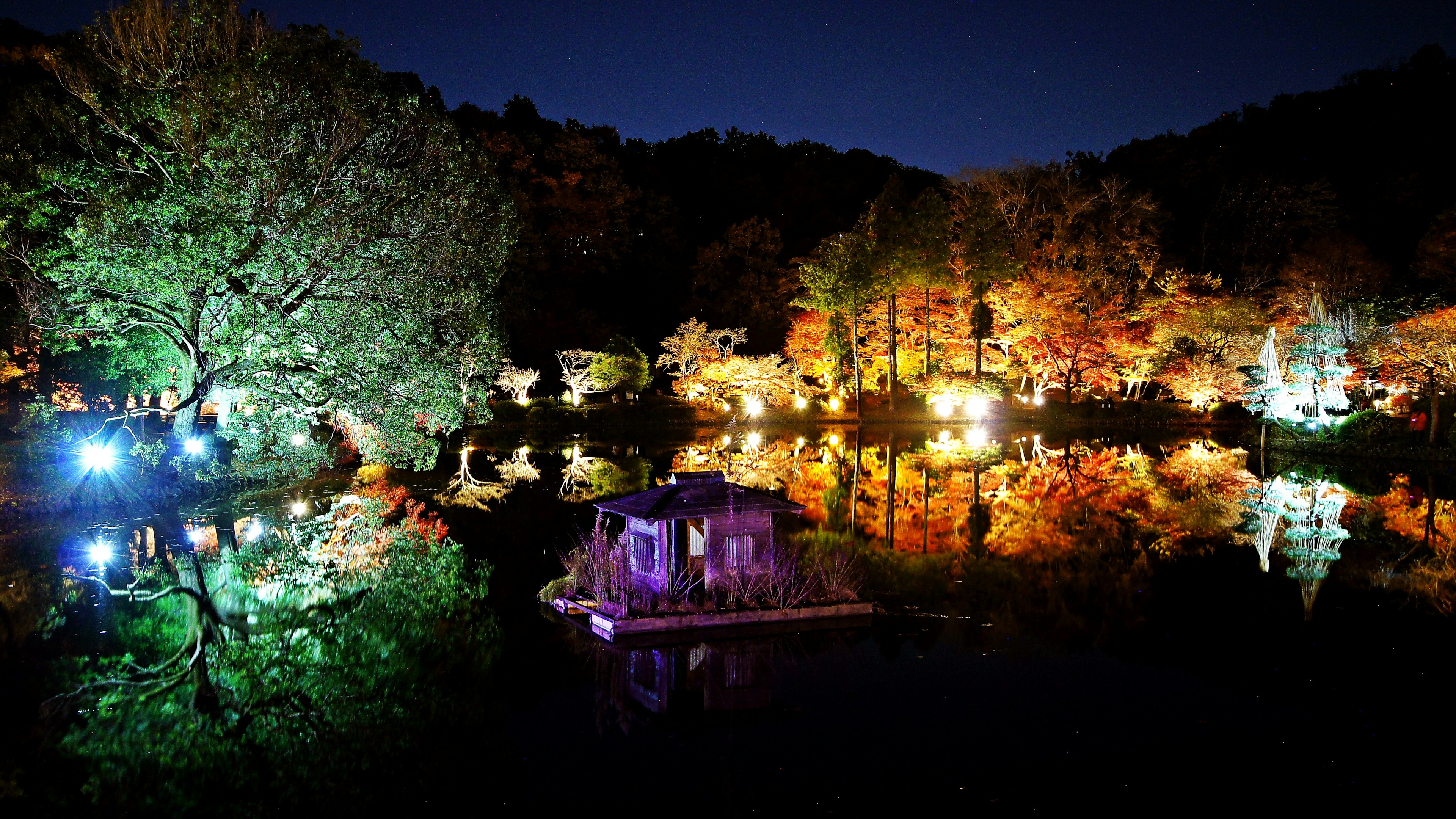 Bellissima scena notturna autunnale con stagno illuminato e alberi colorati