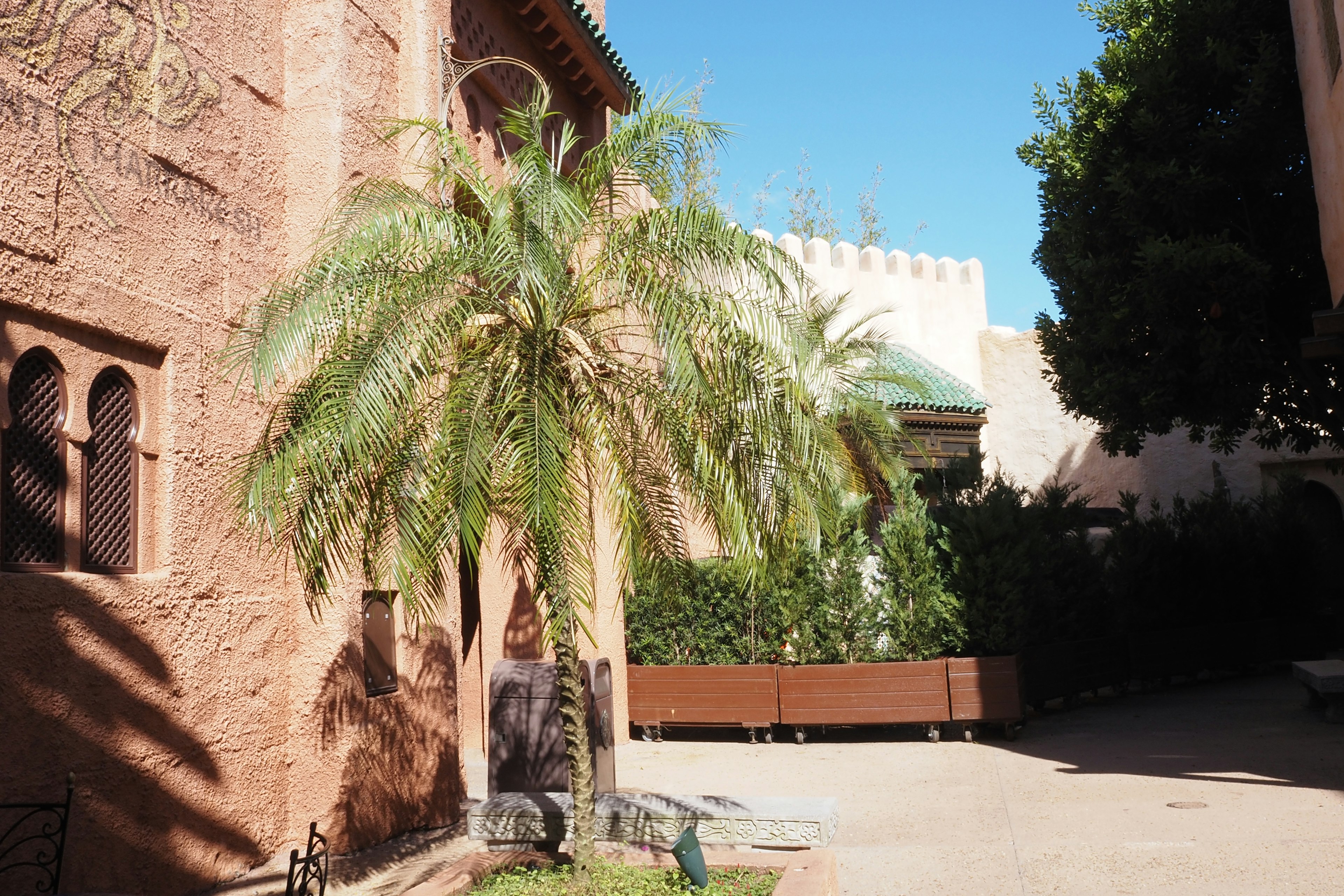 Paisaje con una palmera al lado de un edificio de pared roja bajo un cielo azul