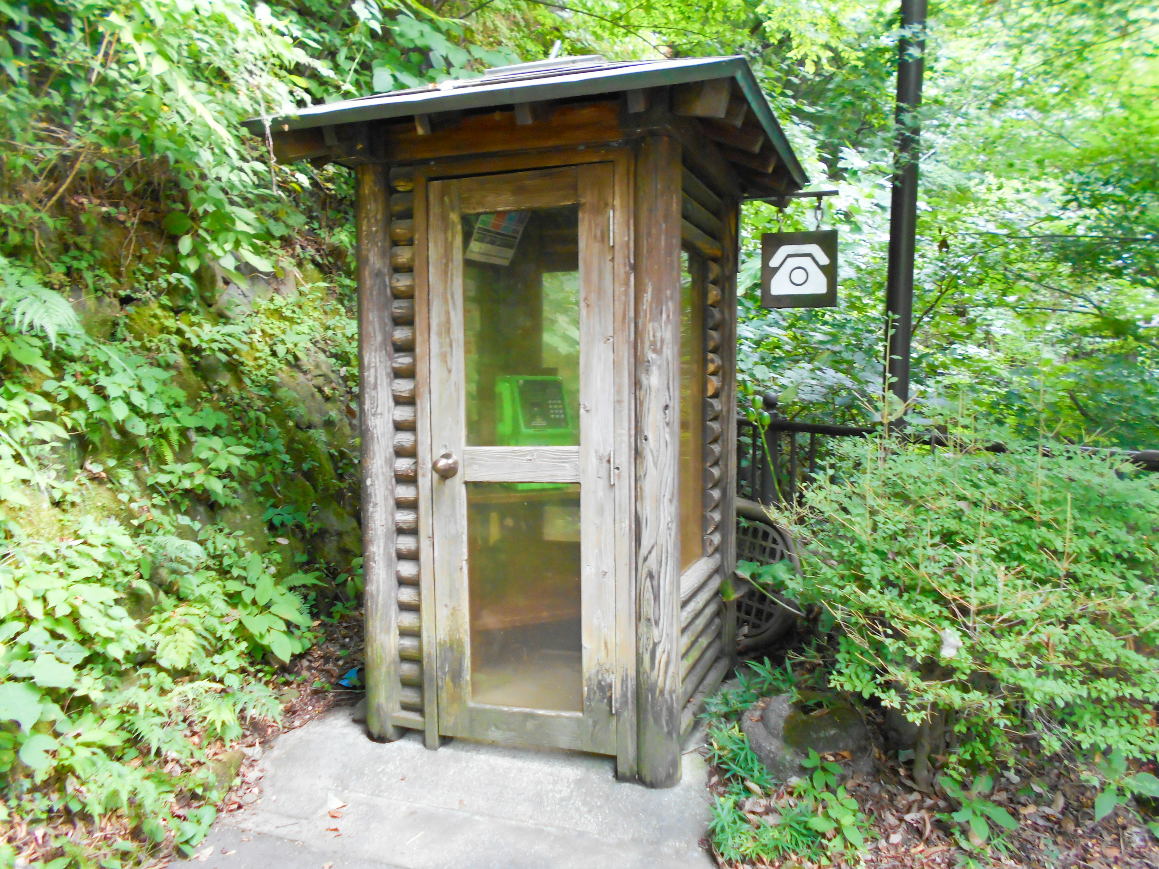 Cabina telefonica in legno circondata da vegetazione in una foresta