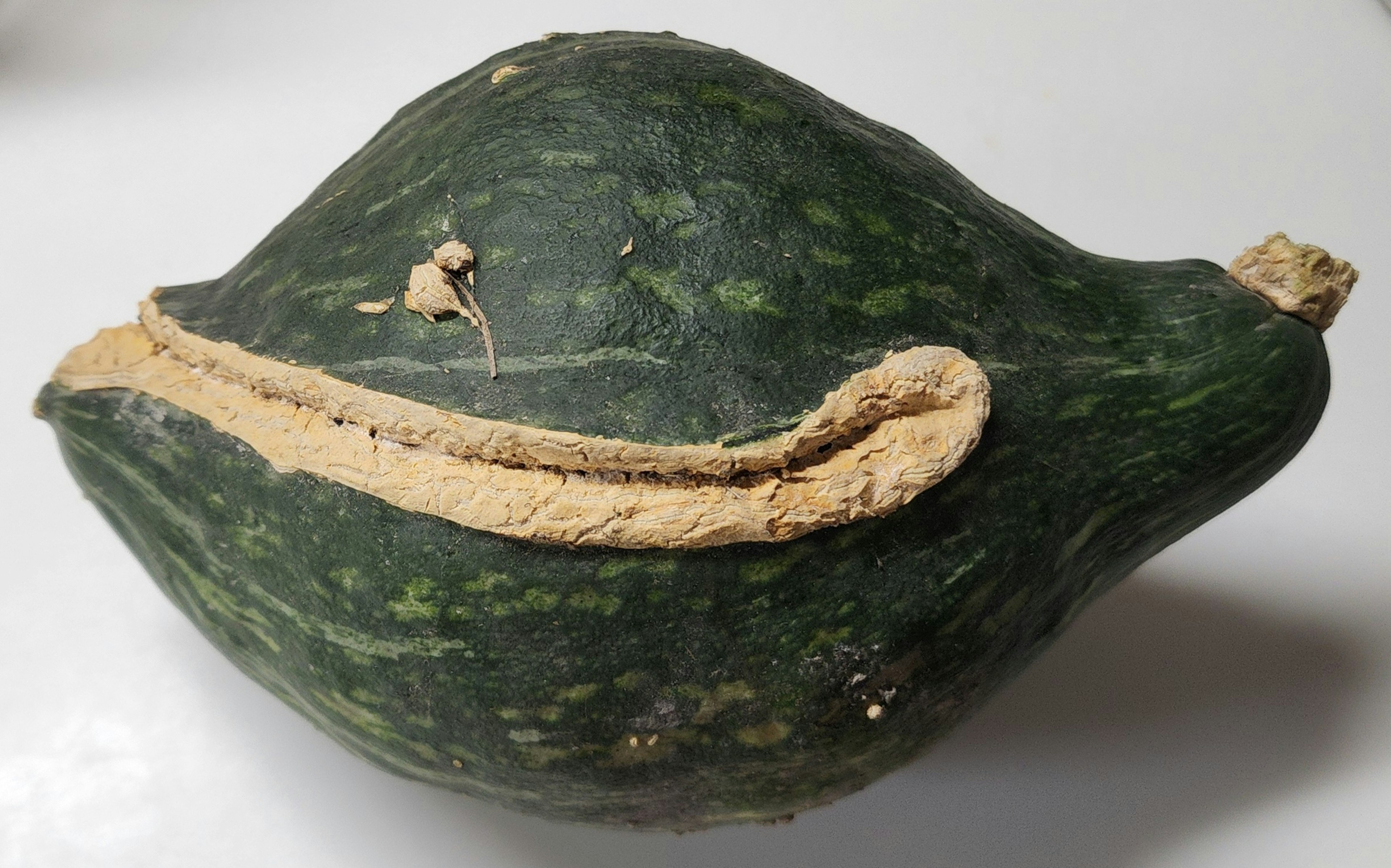 Unique green pumpkin with distinctive shape and texture