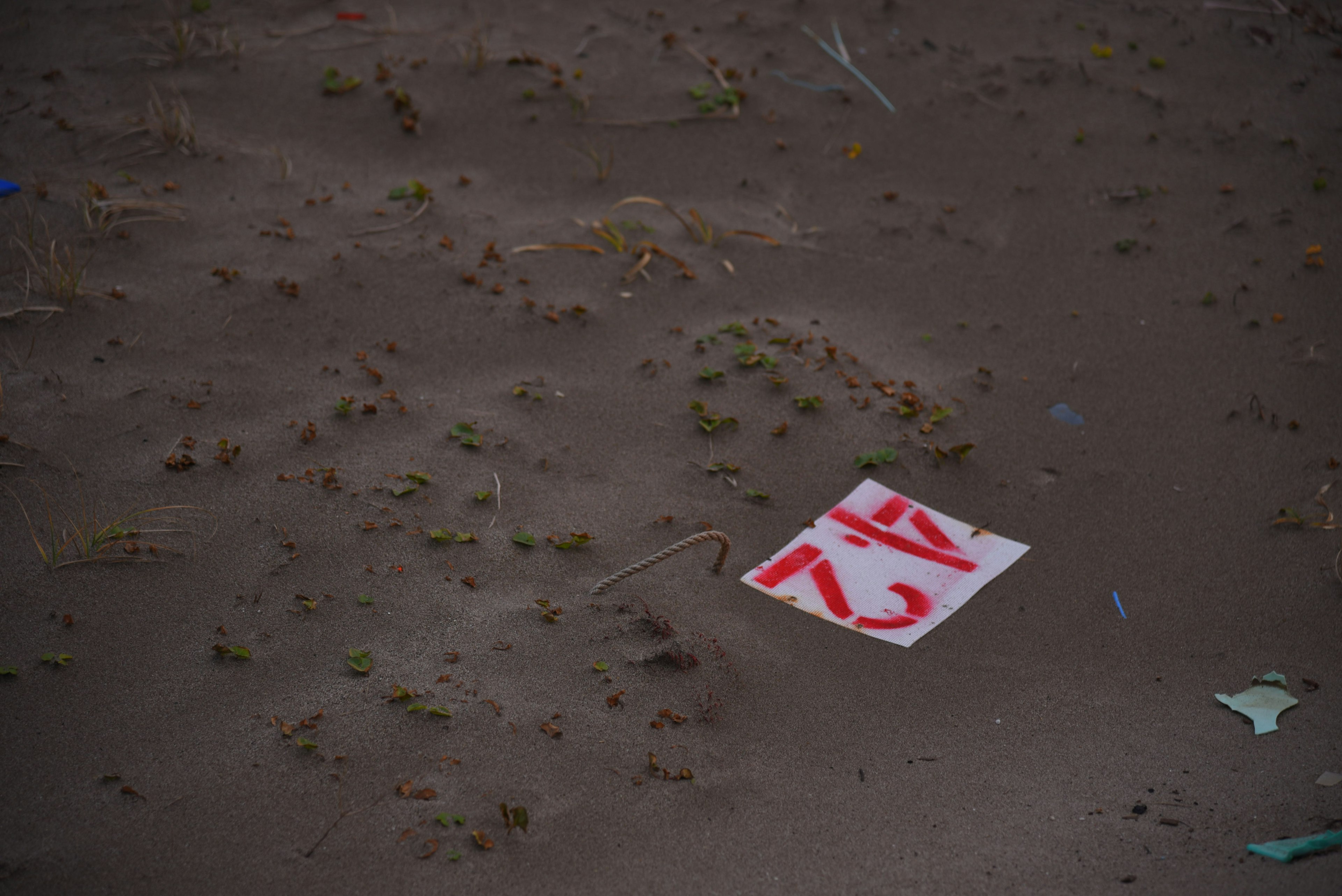 A piece of paper with red markings on the ground